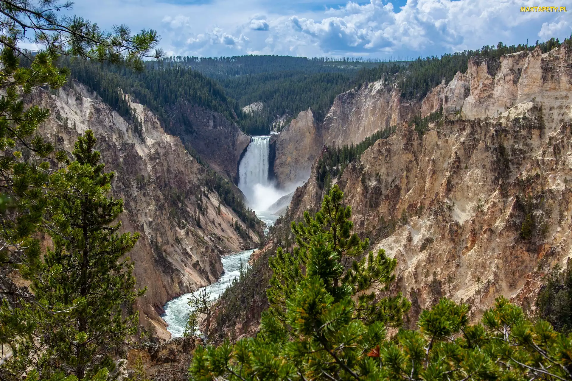 Stany Zjednoczone, Drzewa, Park Narodowy Yellowstone, Stan Wyoming, Upper Yellowstone River Falls, Wodospad, Drzewa, Góry, Górny, Rzeka Yellowstone