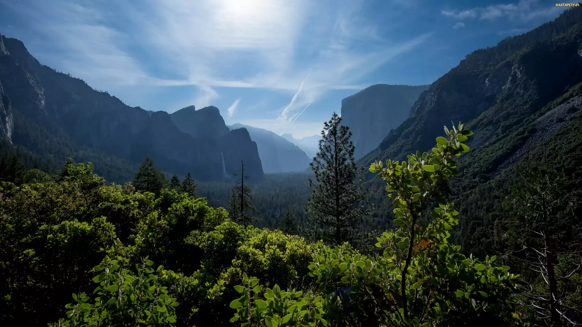 Park Narodowy Yosemite, Kalifornia, Liście, Stany Zjednoczone, Wodospad, Skały, Góry, Drzewa, Mgła