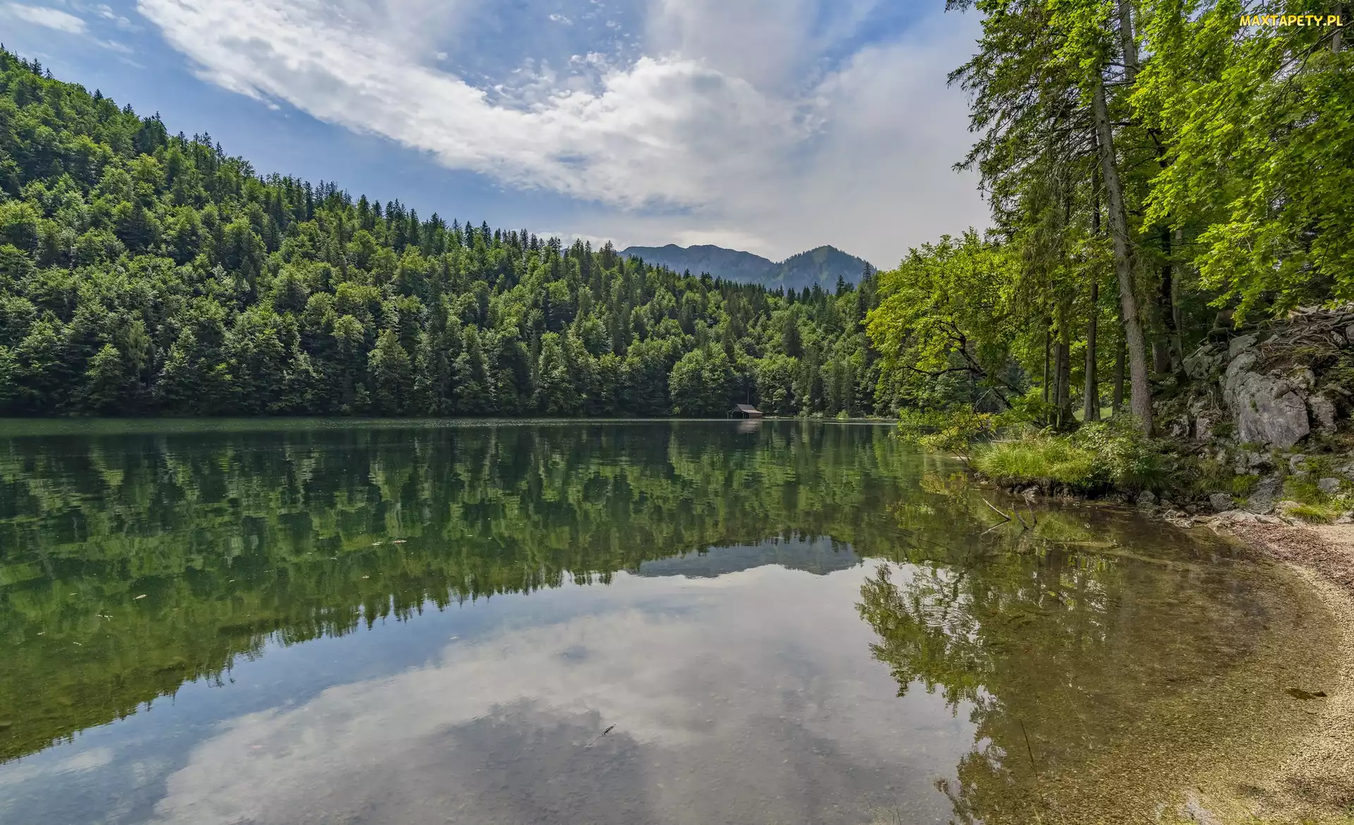 Austria, Odbicie, Alpy, Chmury, Brzeg, Toplitzsee, Las, Drzewa, Jezioro, Góry