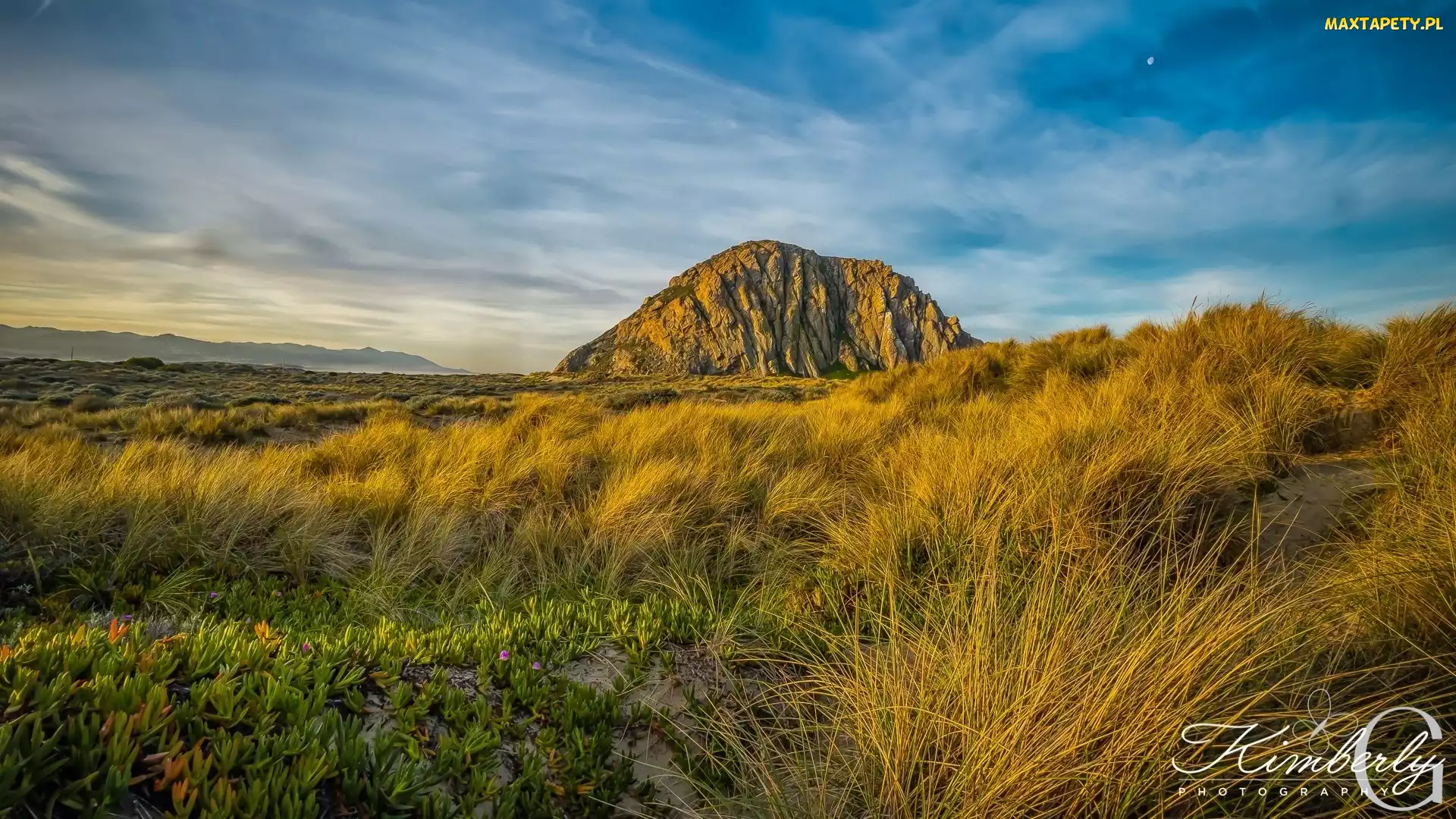 Góra, Kalifornia, Rośliny, Stany Zjednoczone, Księżyc, Trawa, Morro Rock, Skała, Żółta