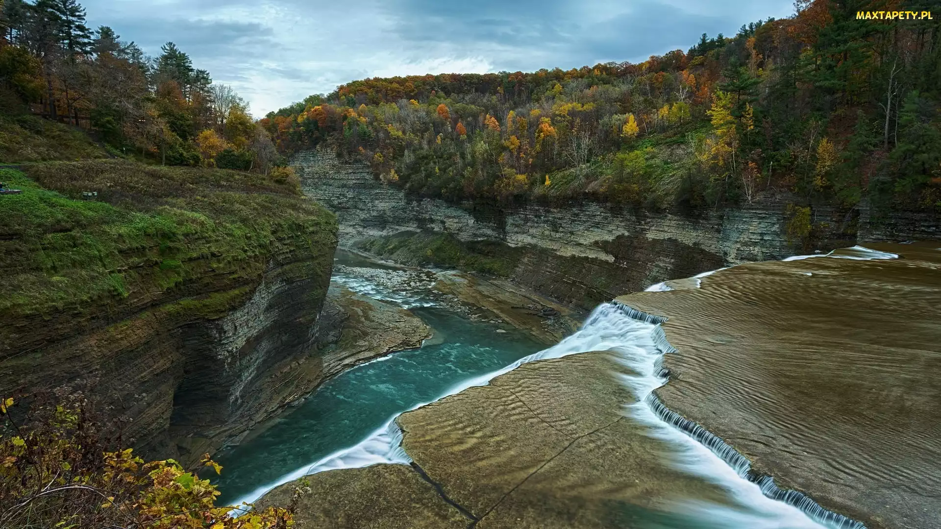 Stany Zjednoczone, Stan Nowy Jork, Drzewa, Skały, Rzeka Genesee, Park stanowy Letchwortha