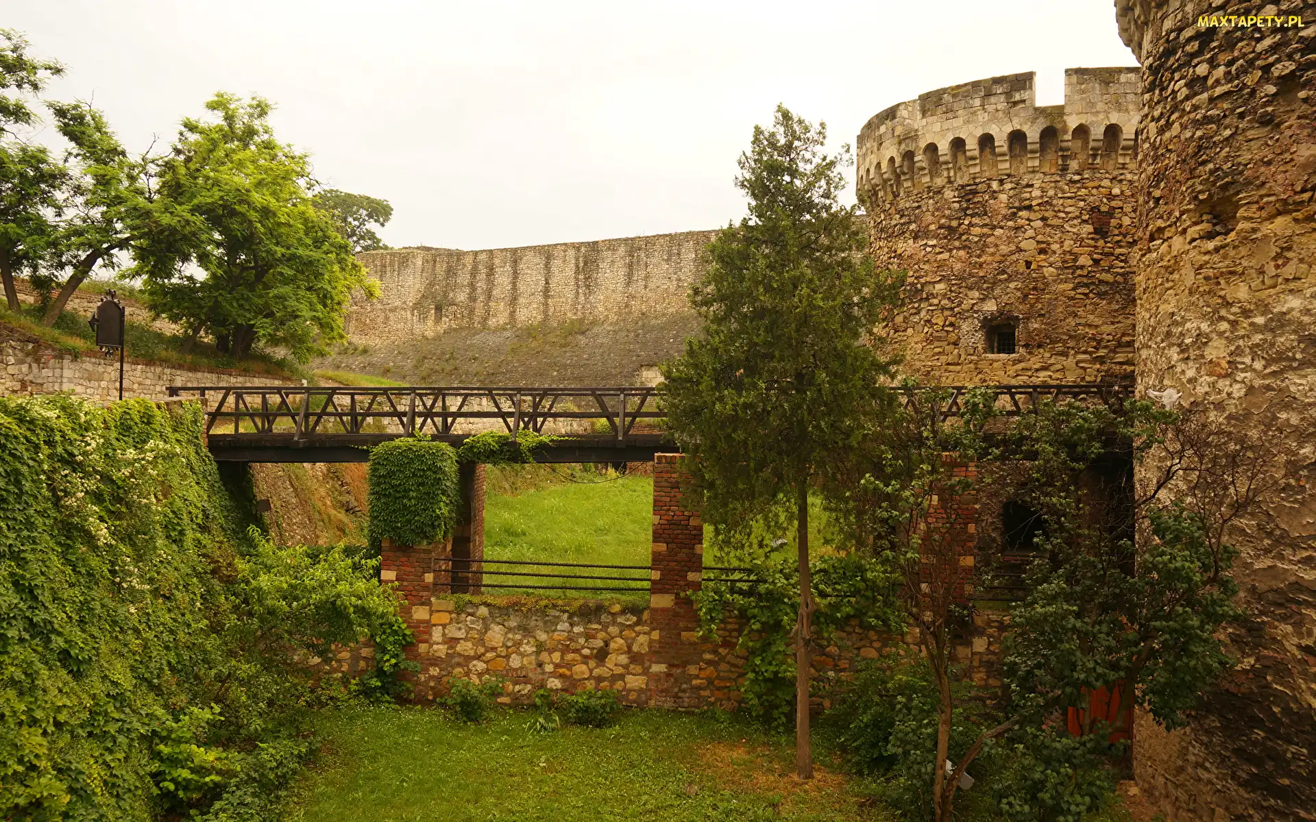 Belgrad, Kalemegdan, Serbia, Twierdza, Trawa, Fortyfikacje, Drzewa, Most