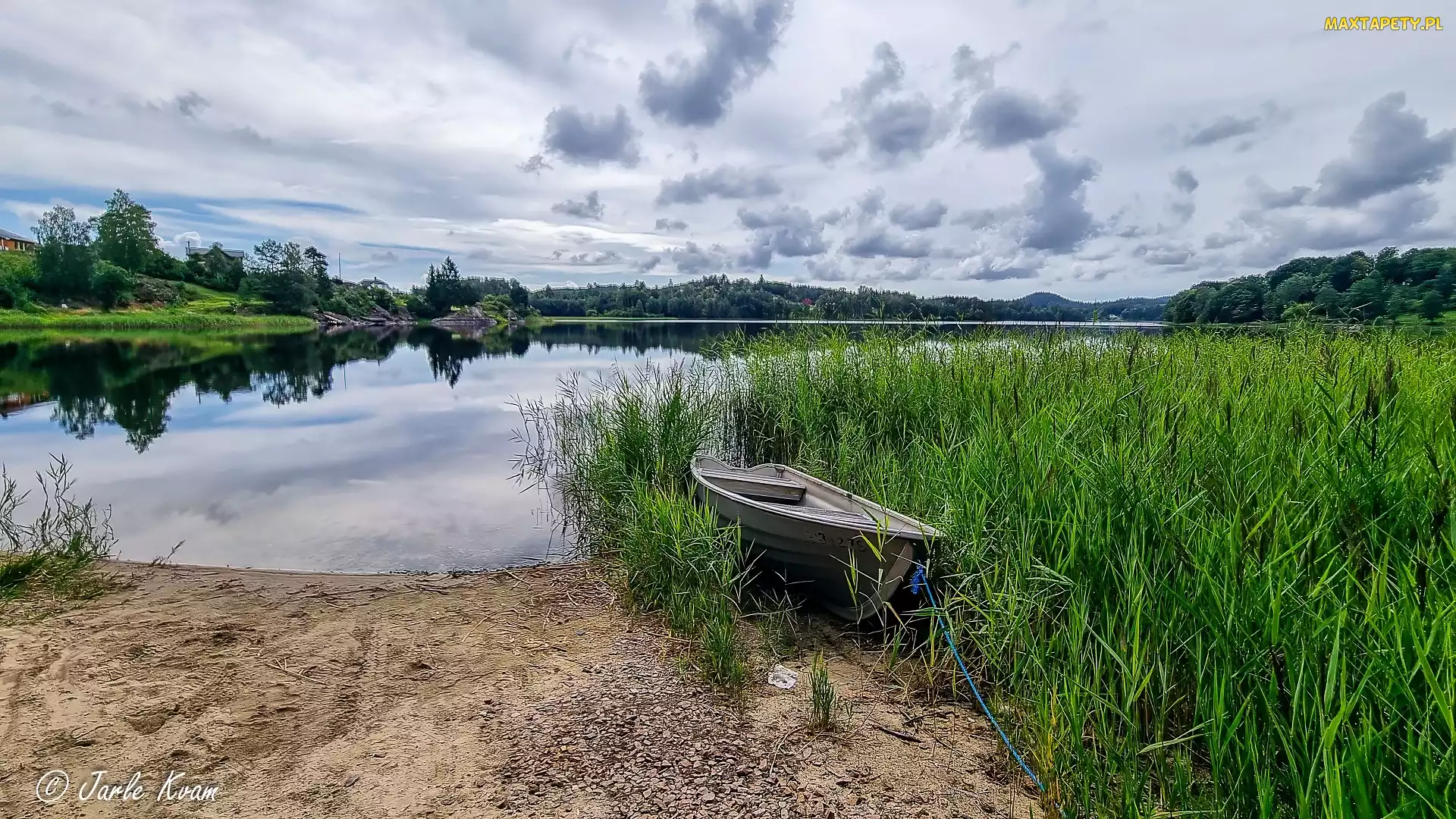 Łódka, Zarośla, Jezioro