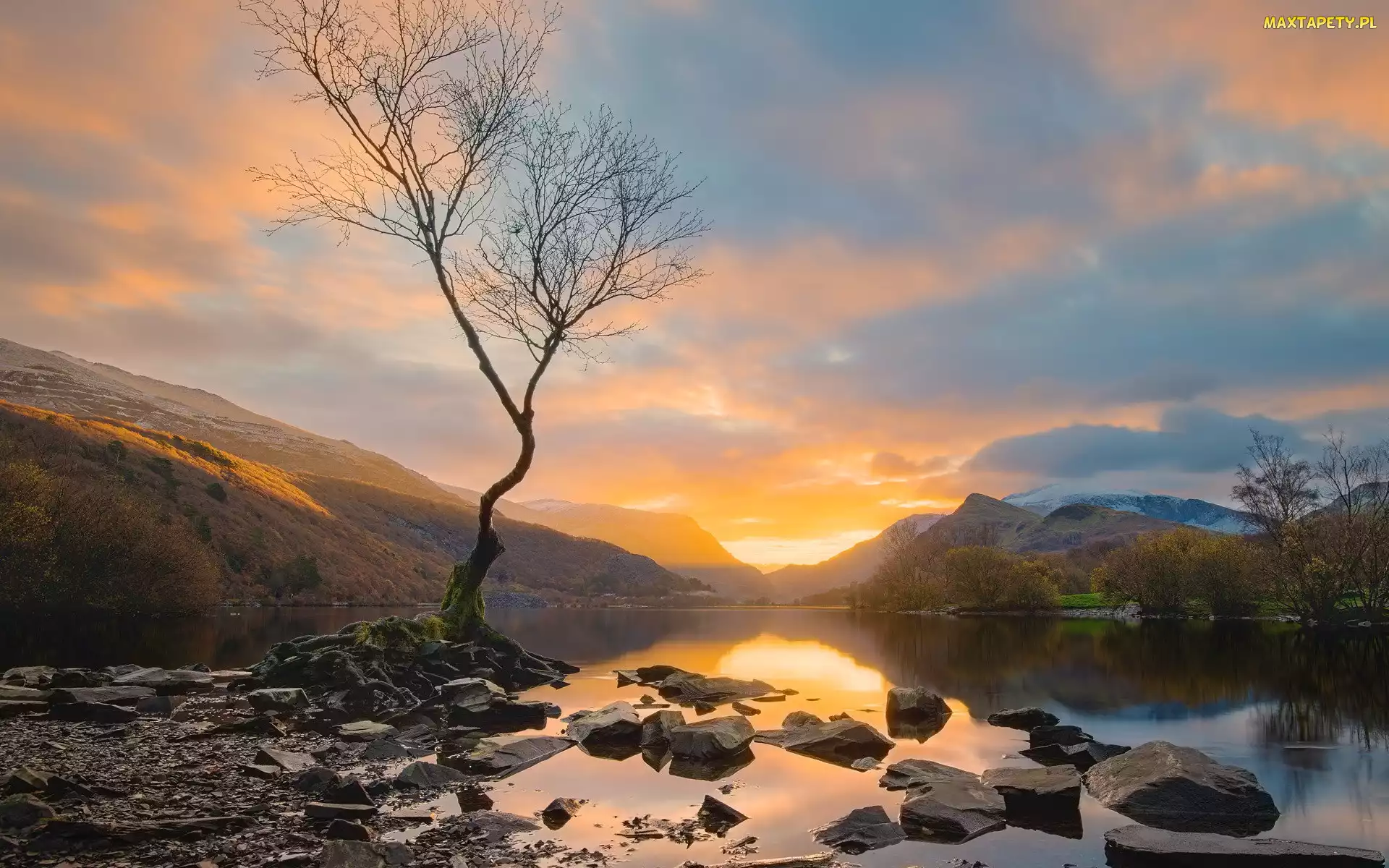 Walia, Zachód słońca, Góry, Chmury, Drzewo, Snowdonia, Jezioro, Llyn Padarn, Kamienie