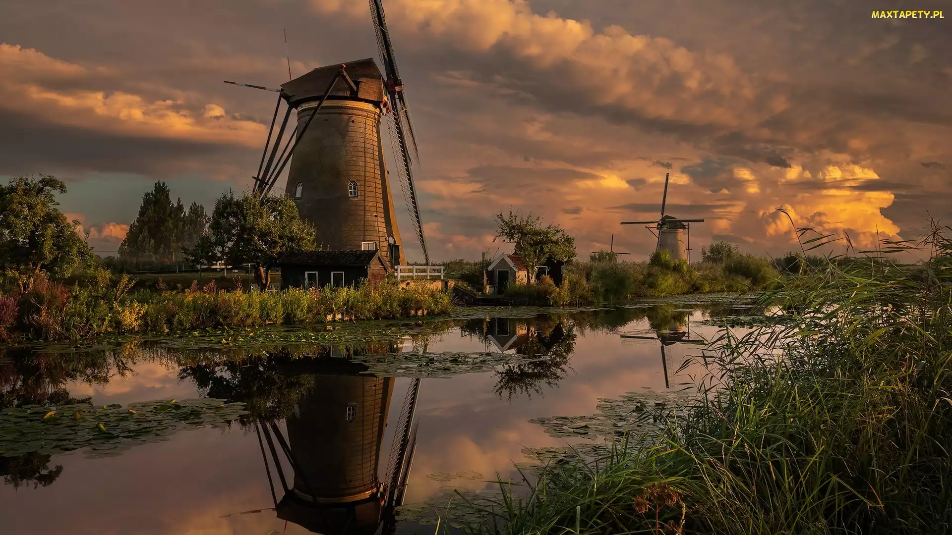 Holandia, Kinderdijk, Rzeka, Wiatraki, Kanał, Rośliny