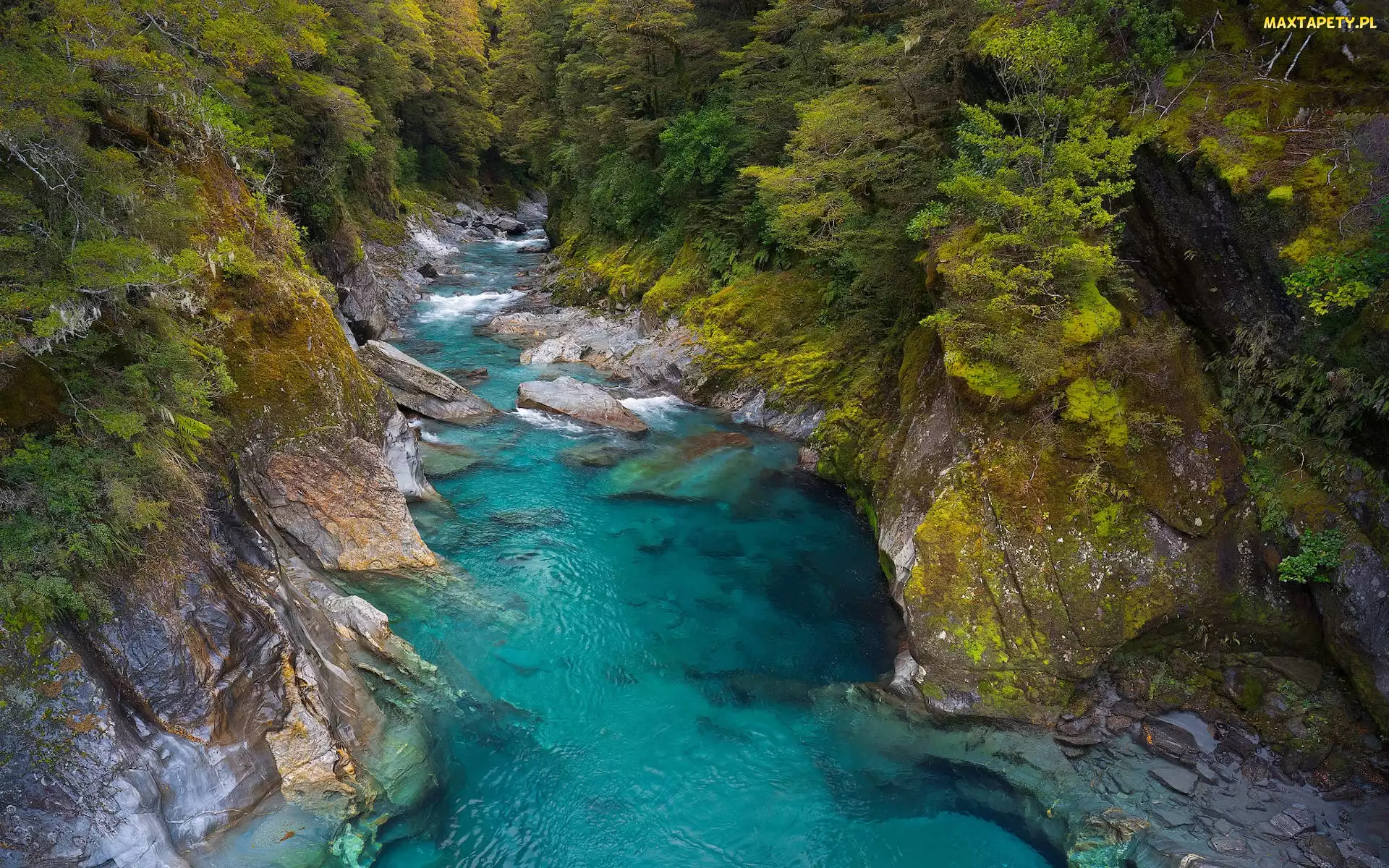 Otago, Skały, Nowa Zelandia, Wąwóz, Makarora River, Park Narodowy Mount Aspiring, Roślinność, Rzeka