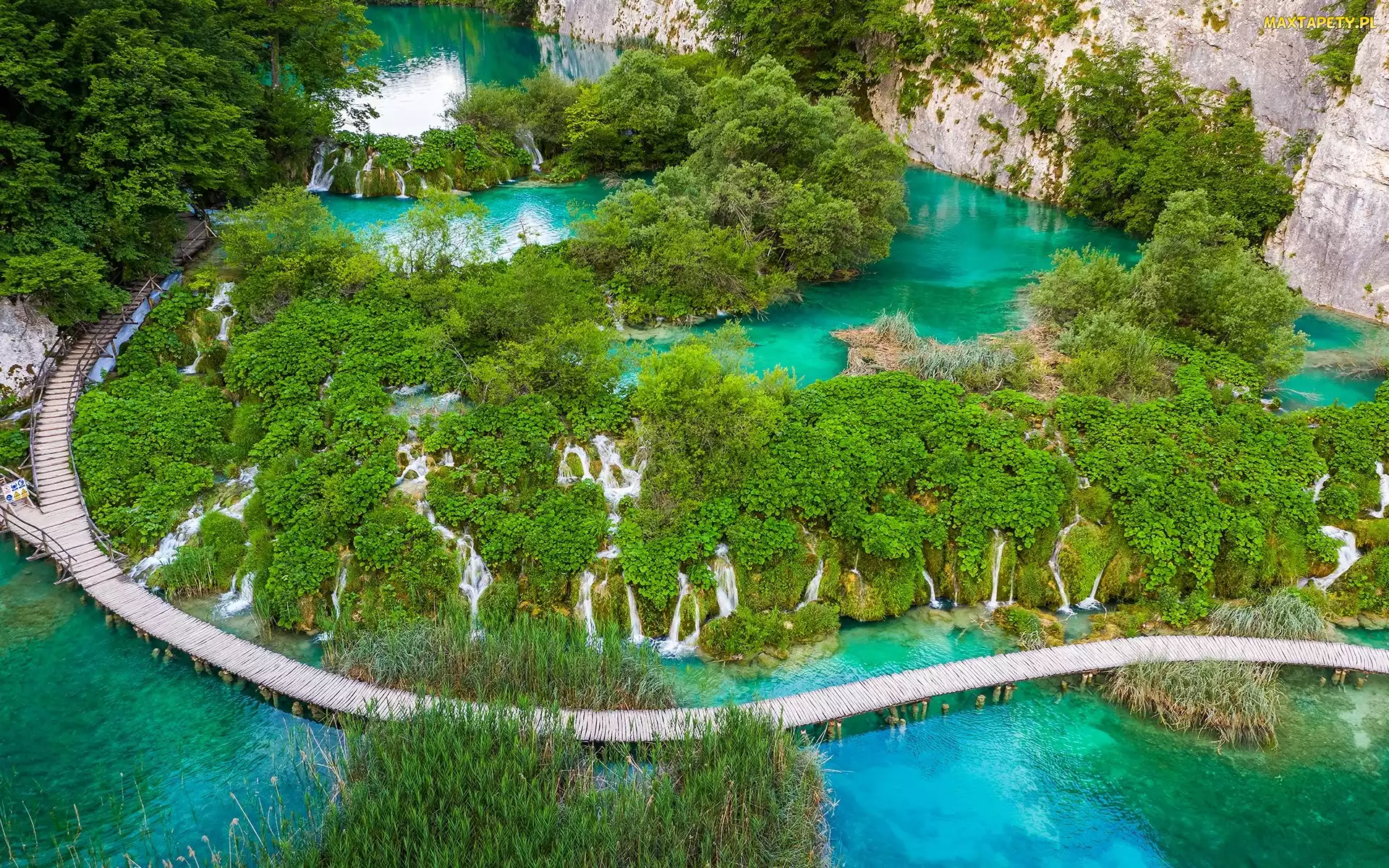 Chorwacja, Drzewa, Jeziora, Park Narodowy Jezior Plitwickich, Wodospady, Zielone