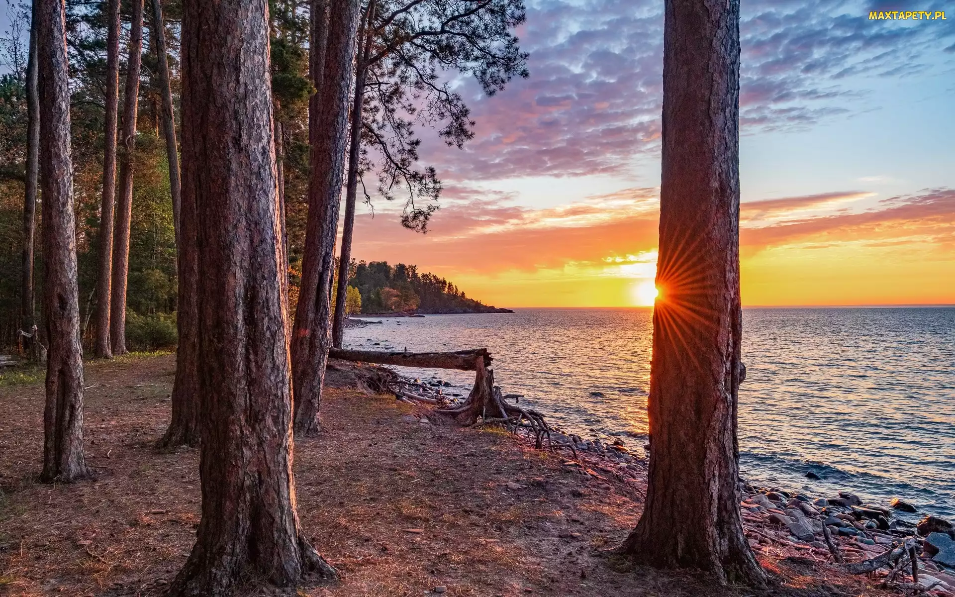 Stan Michigan, Superior Lake, Stany Zjednoczone, Jezioro, Drzewa, Marquette, Zachód słońca, Las