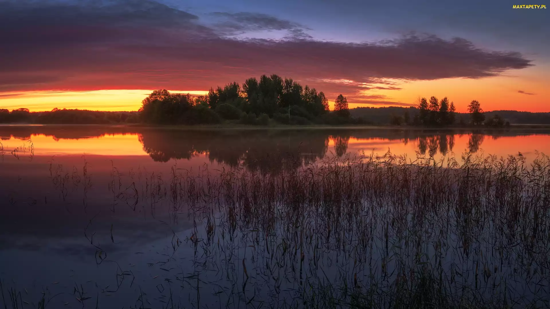 Trawa, Jezioro, Zachód słońca, Drzewa
