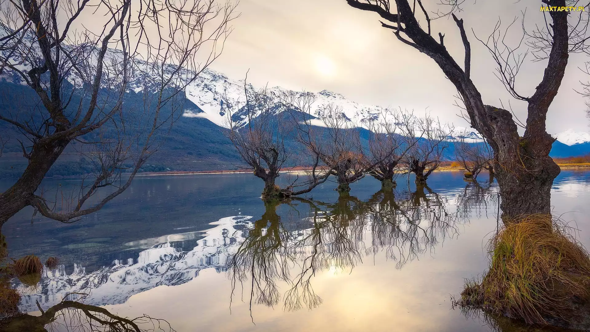 Góry, Drzewa, Ośnieżone, Dart River, Glenorchy, Rzeka, Nowa Zelandia, Odbicie