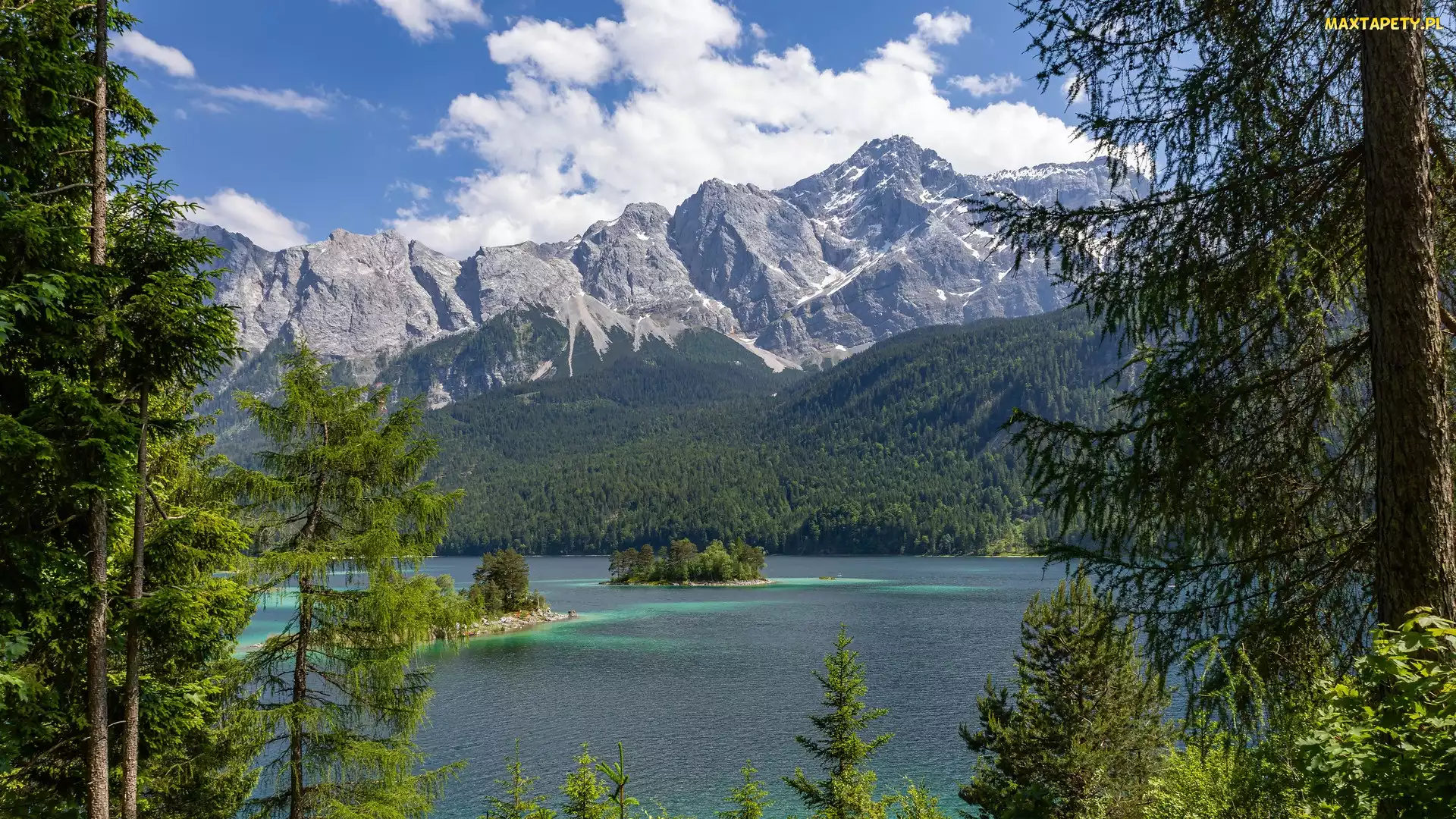 Niemcy, Sosny, Jezioro, Góry, Eibsee, Drzewa