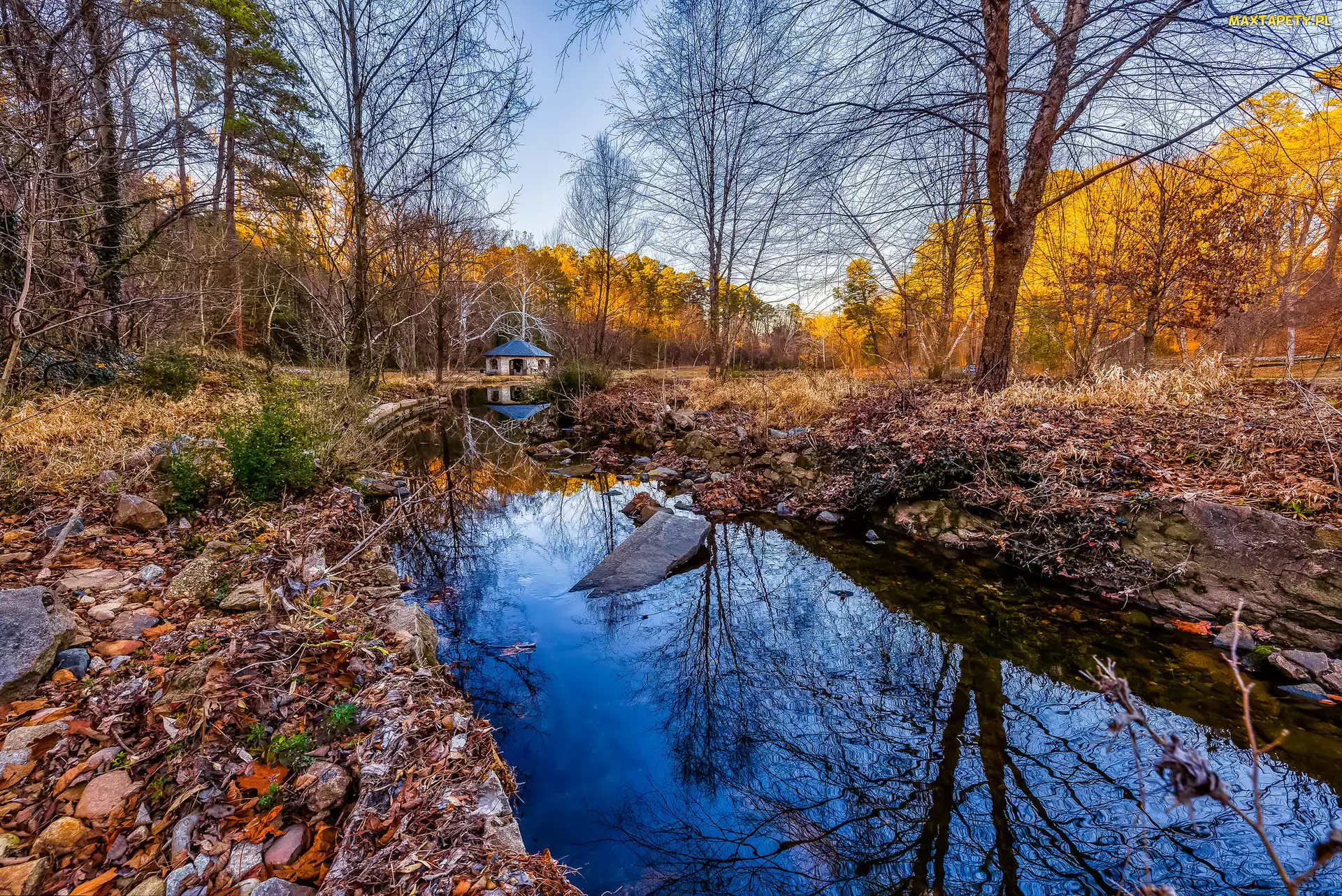 Drzewa, Trawy, Rzeka, Jesień, Domek, Pożółkłe