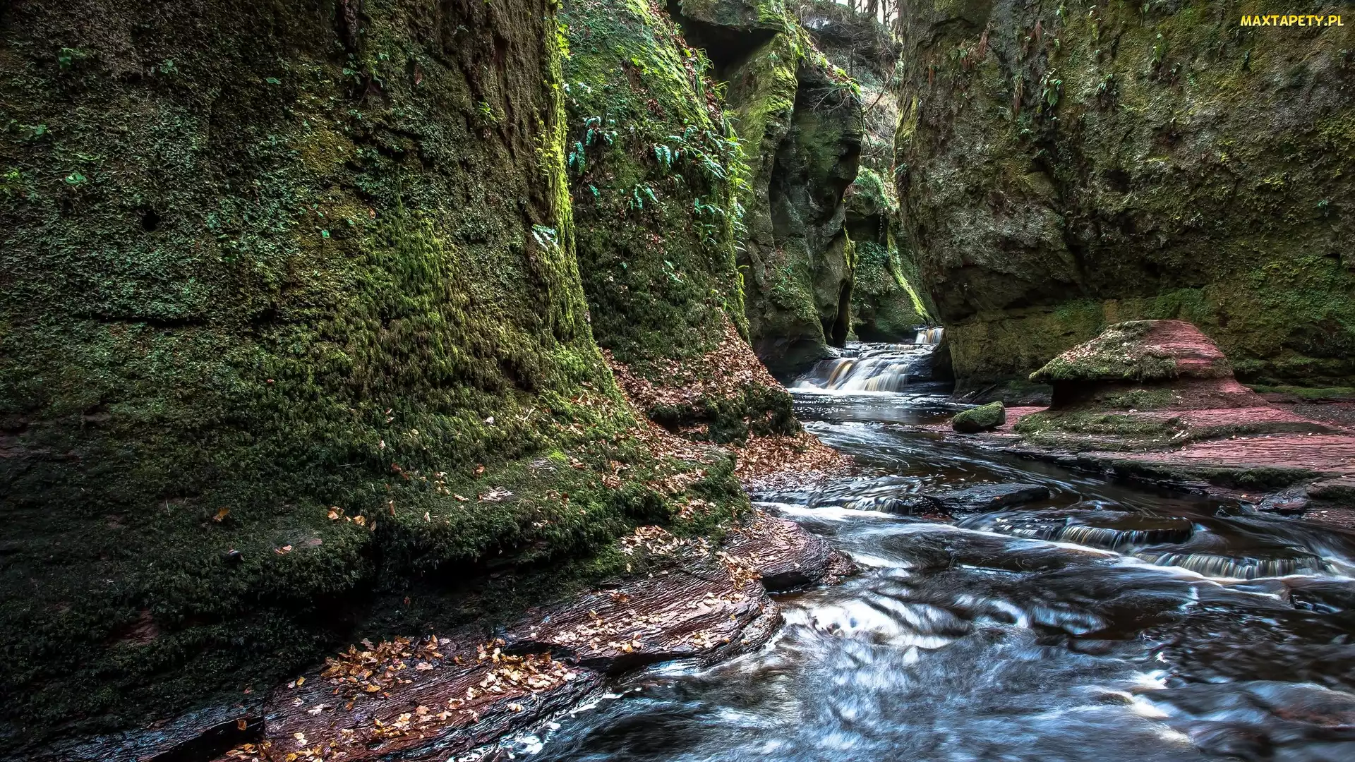 Wąwóz Finnich Glen, Carnock Burn, Rzeka, Skały, Szkocja