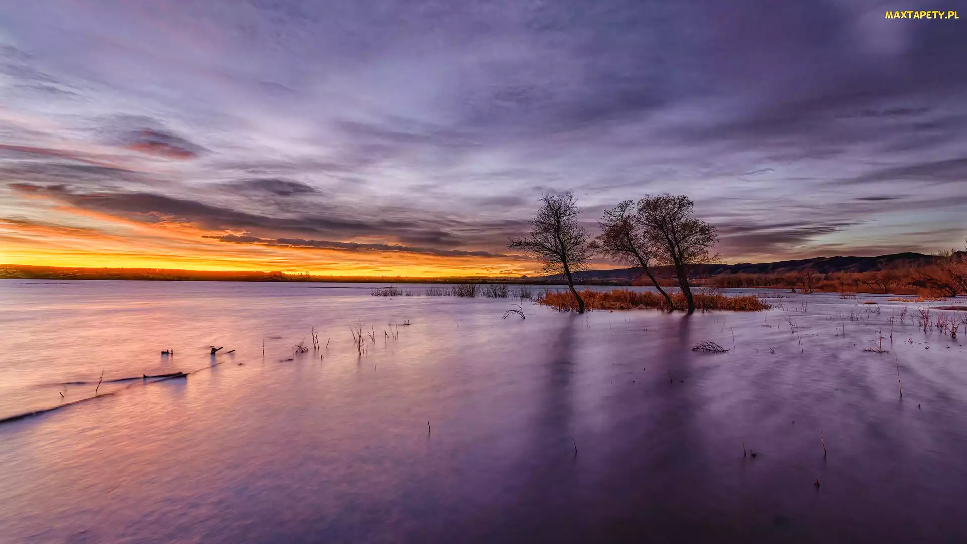 Kolorado, Chatfield Lake, Stany Zjednoczone, Jezioro, Chmury, Chatfield State Park, Wschód słońca, Drzewa