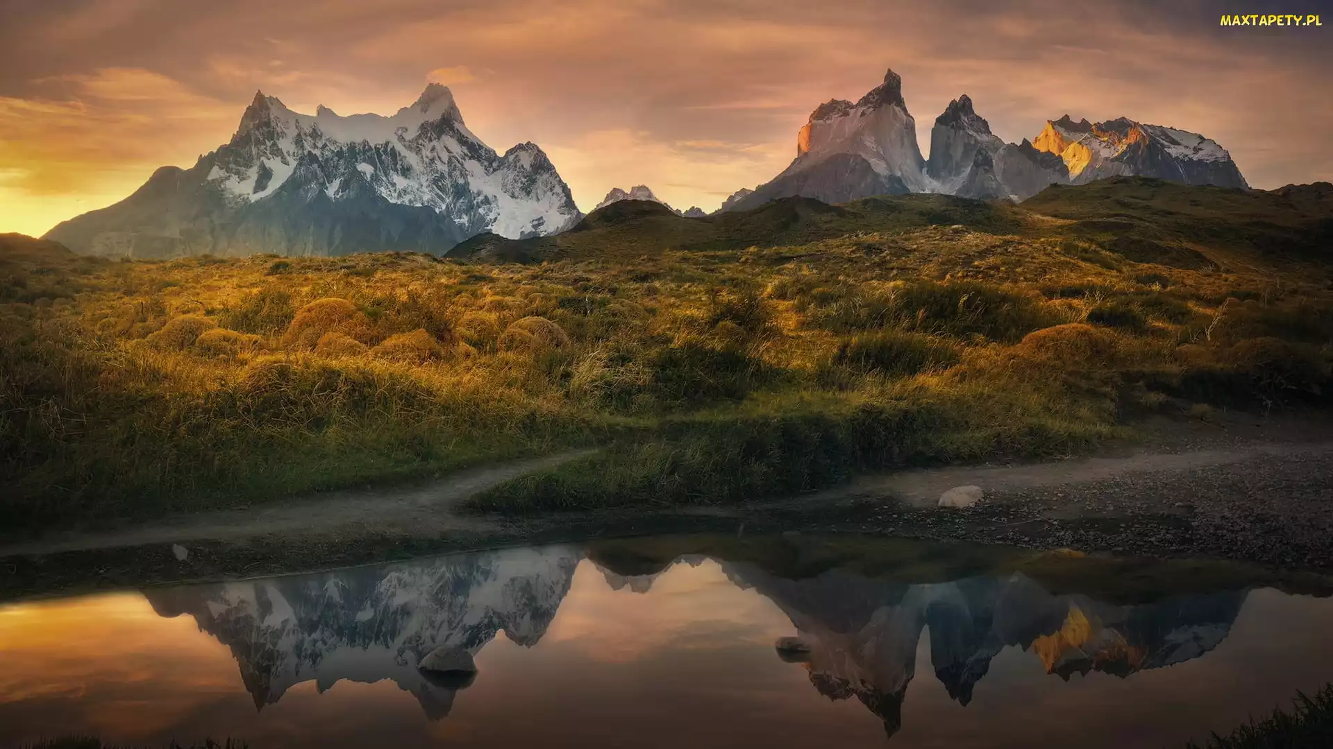 Jesień, Rzeka, Patagonia, Roślinność, Torres del Paine, Chile, Góry