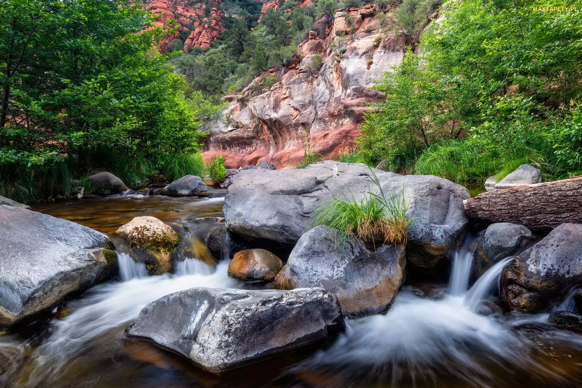 Stany Zjednoczone, Sedona, Kamienie, Arizona, Drzewa, Cathedral Rock, Rzeka, Oak Creek, Skały, Głazy