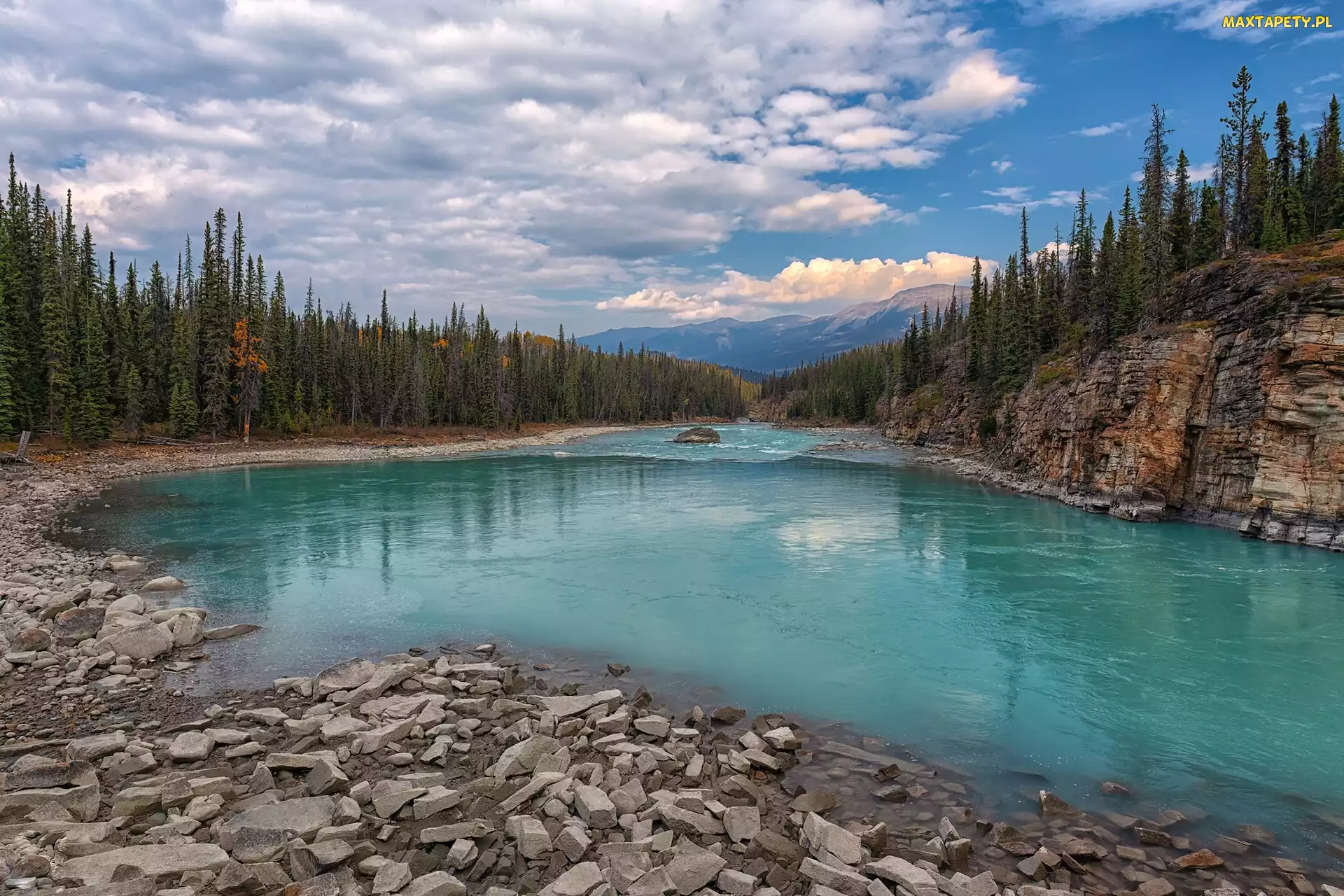 Alberta, Rzeka Athabasca, Góry, Kanada, Las, Park Narodowy Jasper, Drzewa