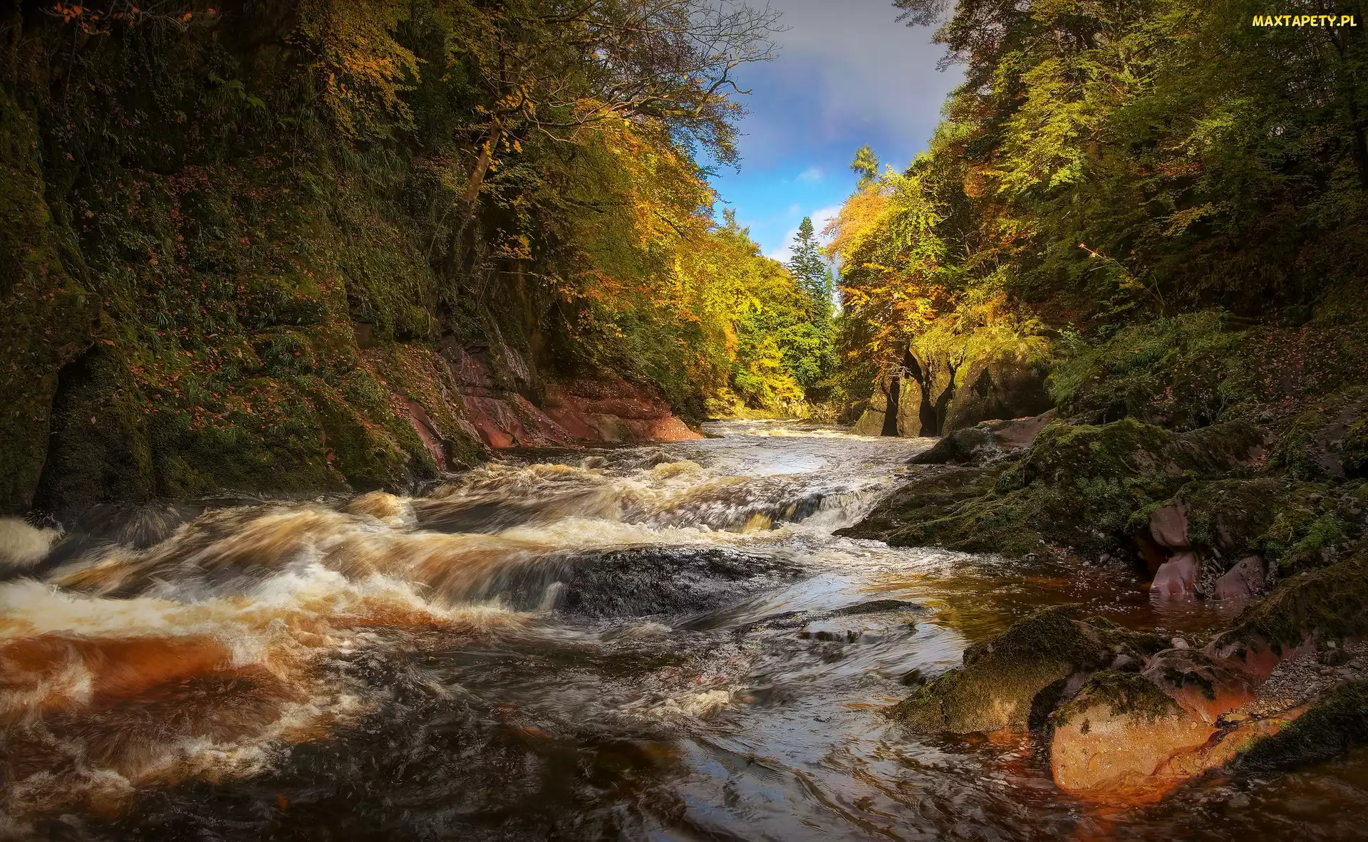 Edzell, Rzeka, Szkocja, Rwąca, Las, River North Esk, Jesień, Drzewa
