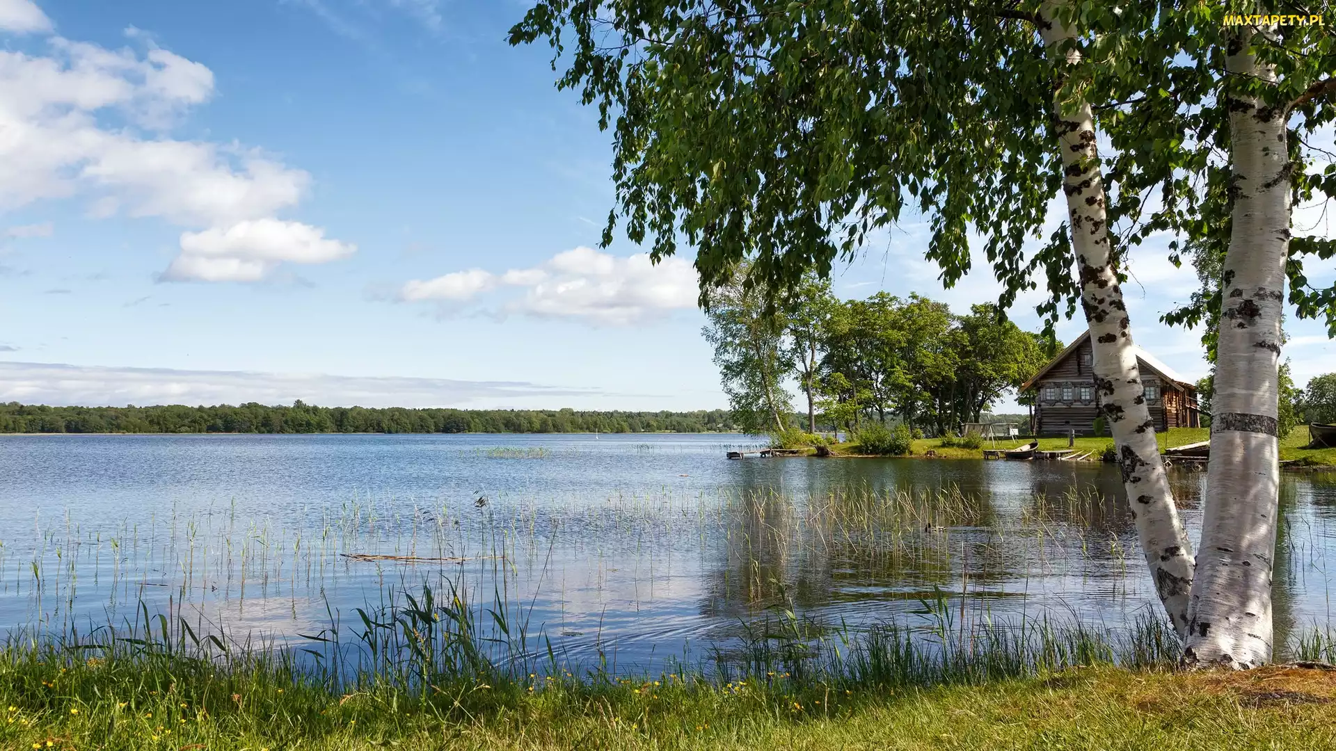 Jezioro, Łódka, Trawa, Rosja, Pomost, Brzozy, Lake Onega, Dom, Drzewa