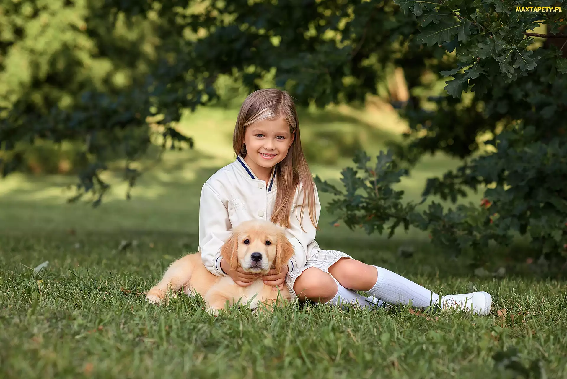 Trawa, Golden retriever, Dziewczynka, Szczeniak