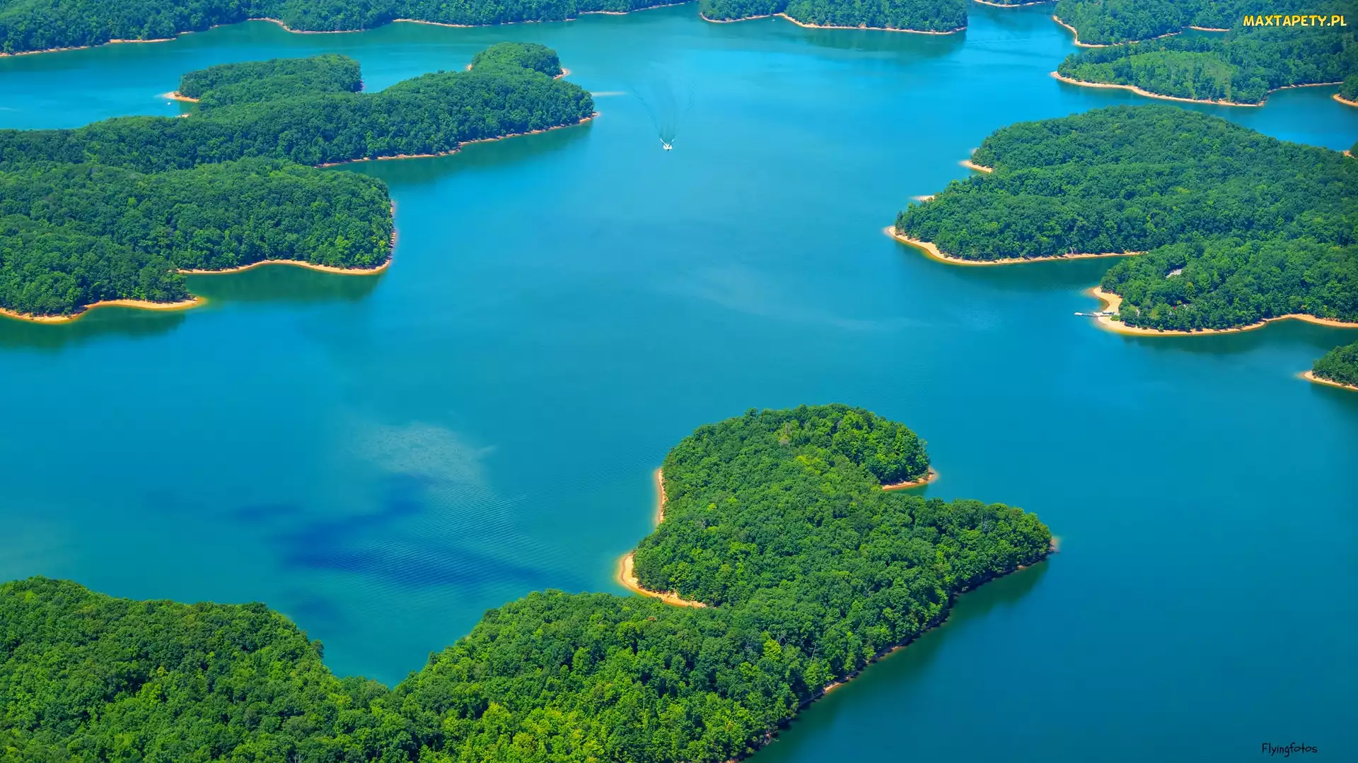 Stany Zjednoczone, Kentucky, Laurel River Lake, Jezioro, Zadrzewione, Półwyspy