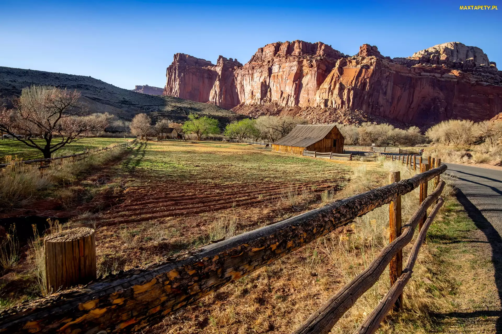 Stany Zjednoczone, Park Narodowy Capitol Reef, Drzewa, Utah, Stodoła Gifford, Skały, Droga, Ogrodzenie, Czerwone, Pola