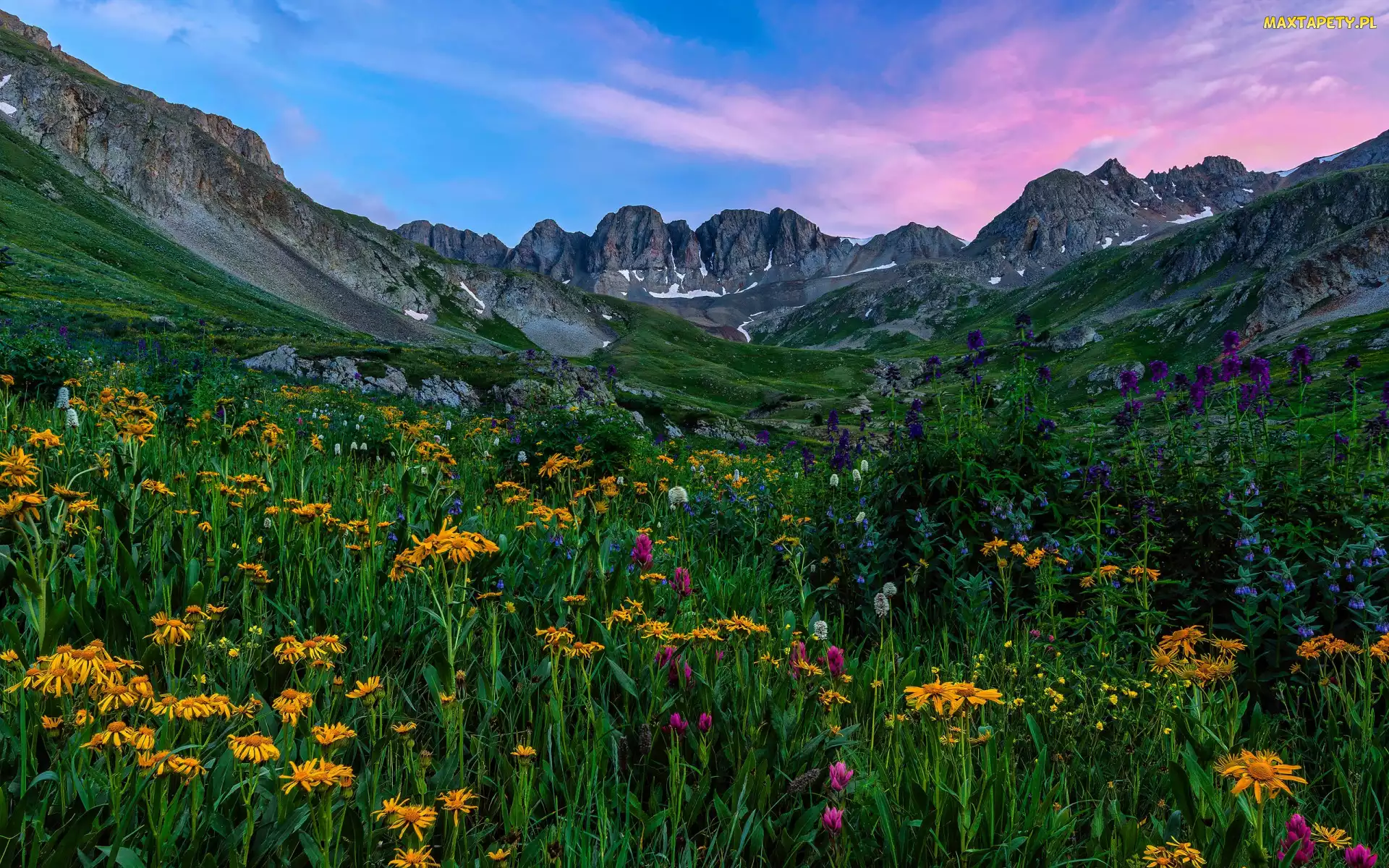 Stany Zjednoczone, Niebo, Kwiaty, Łąka, Skały, Polana, Kolorado, San Juan Mountains, Góry