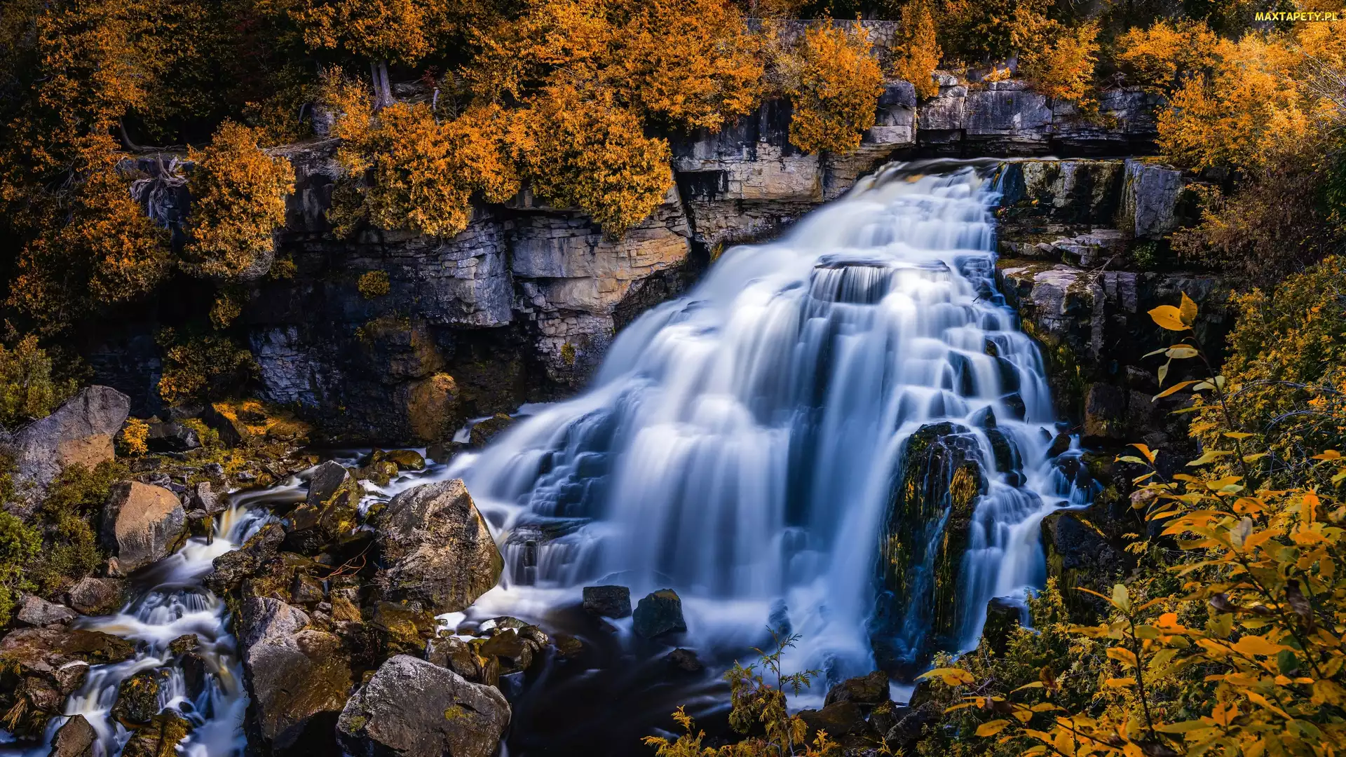 Kanada, Pożółkłe, Jesień, Liście, Drzewa, Skały, Ontario, Inglis Falls, Wodospad