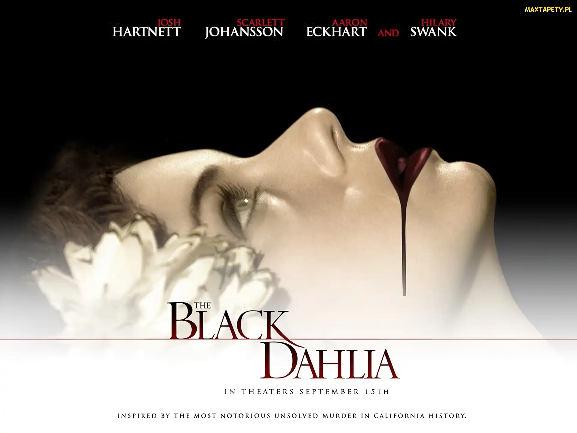 szminka, kobiety, Black Dahlia, twarz