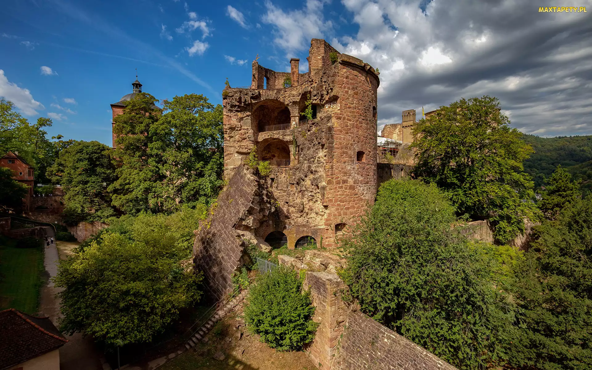 Drzewa, Wieża, Heidelberg, Niemcy, Zamek, Ruiny
