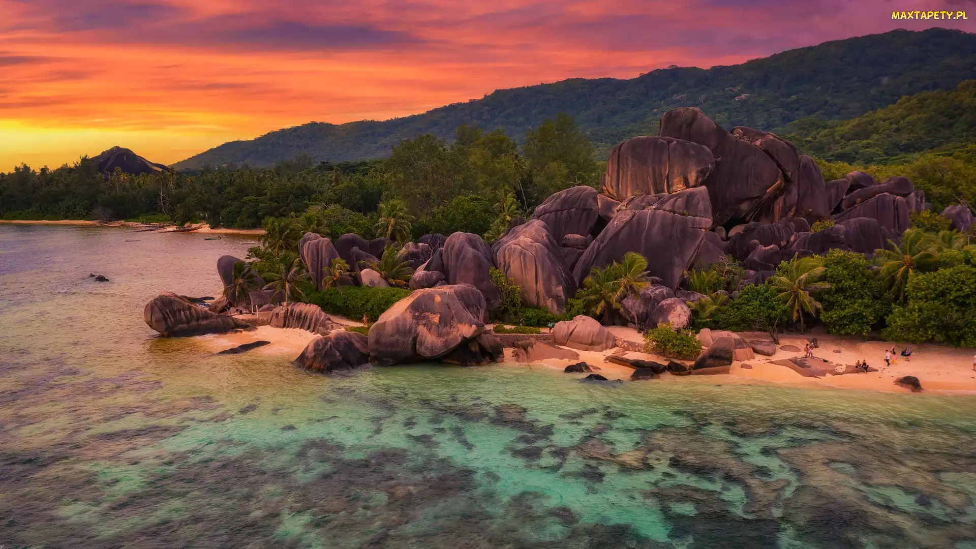 Seszele, Palmy, Anse Source dArgent, Zachód słońca, Skały, Plaża, Wyspa, La Digue, Morze