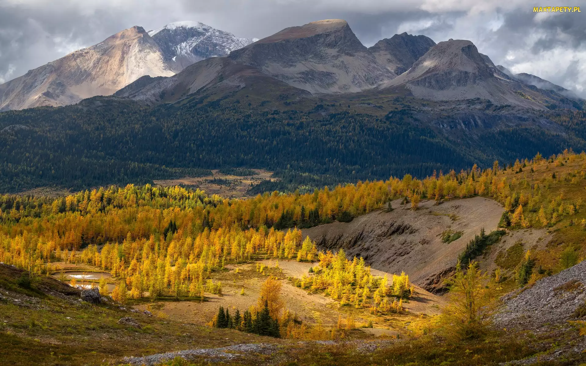 Kanada, Park prowincjonalny Mount Assiniboine, Chmury, Kolumbia Brytyjska, Nub Peak, Góra, Las, Drzewa, Góry, Jesień