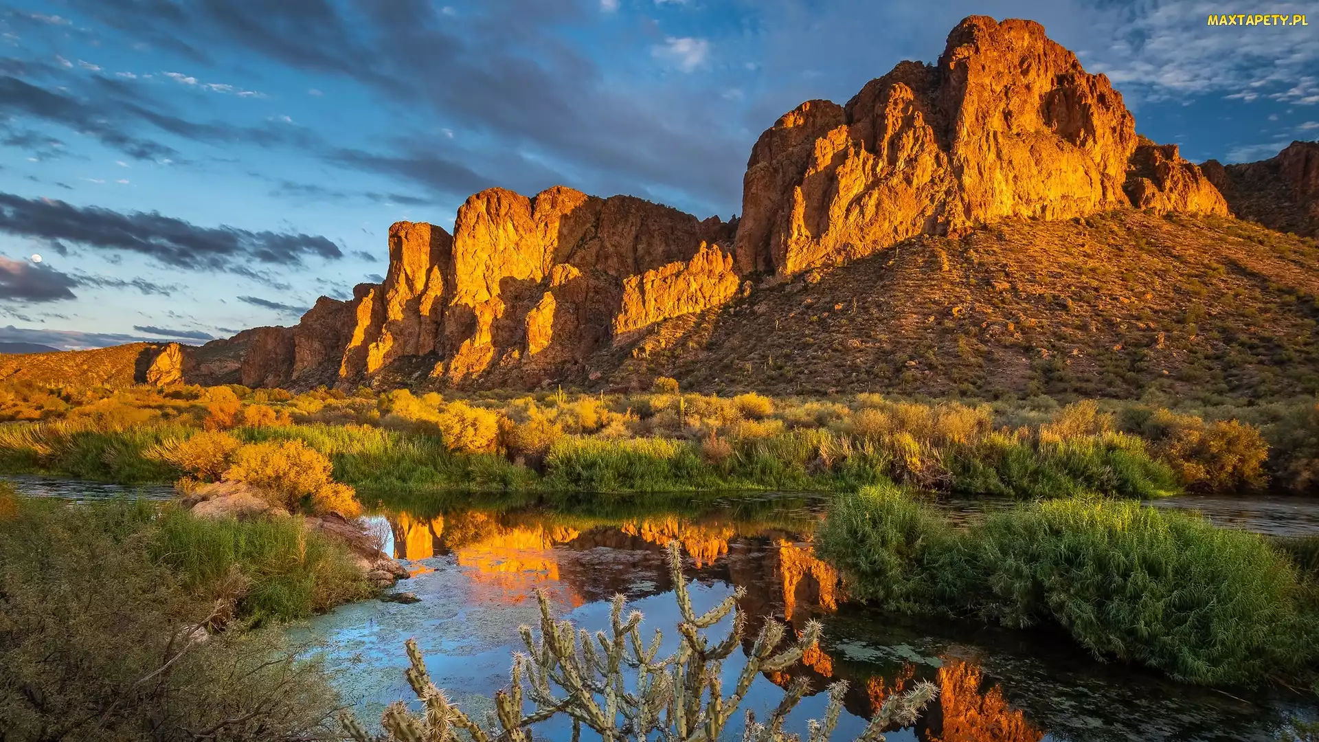 Arizona, Salt River, Skały, Stany Zjednoczone, Rzeka, Góry, Rośliny