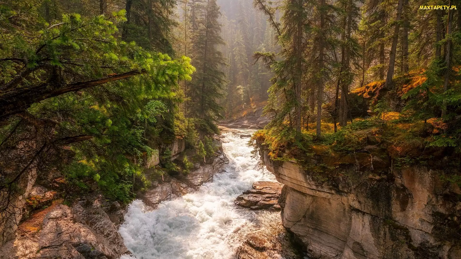 Park Narodowy Jasper, Maligne Canyon, Rzeka, Kanada, Drzewa, Skały, Maligne River