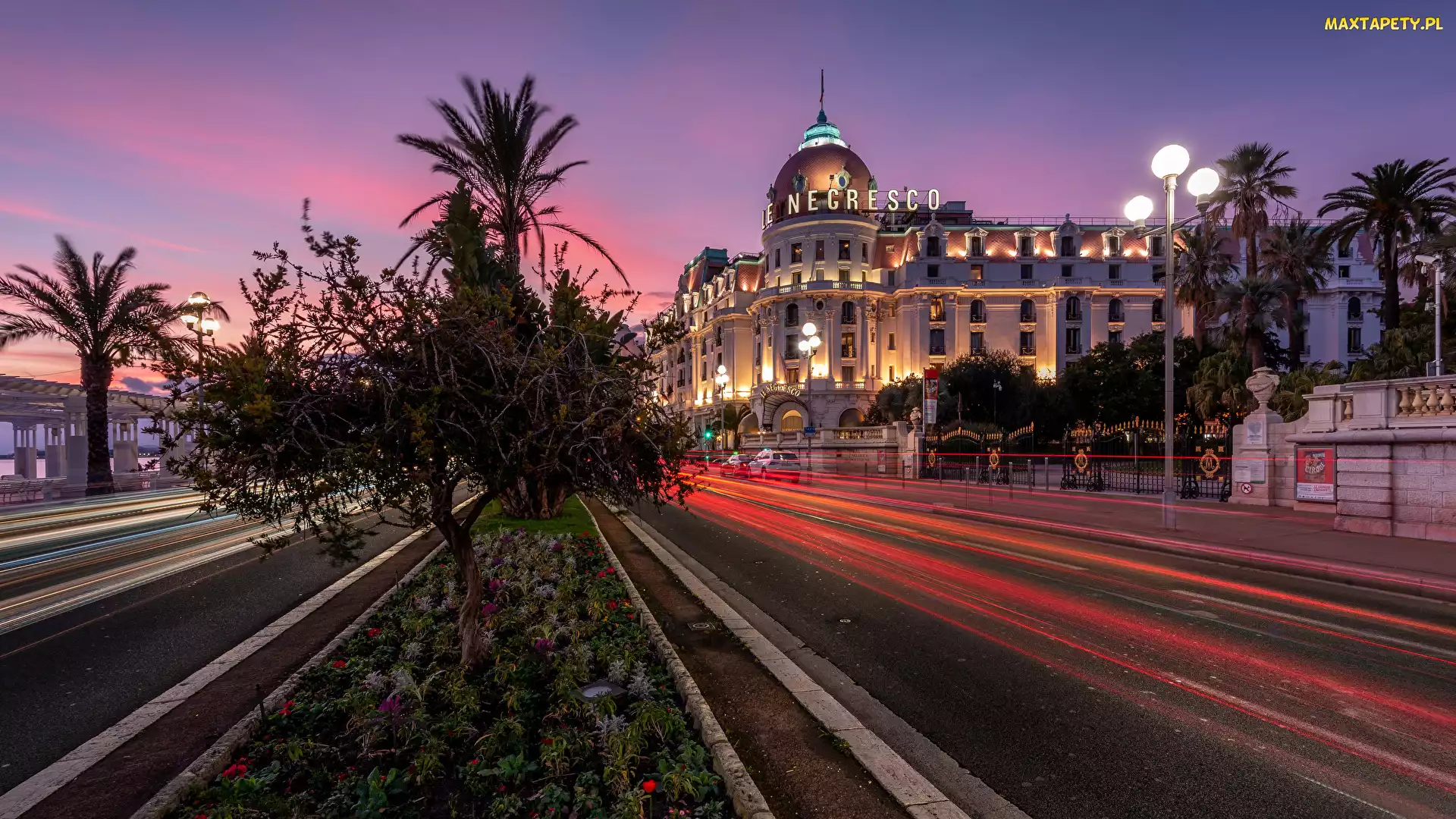 Domy, Drzewa, Nicea, Hotel Negresco, Ulica, Francja, Noc