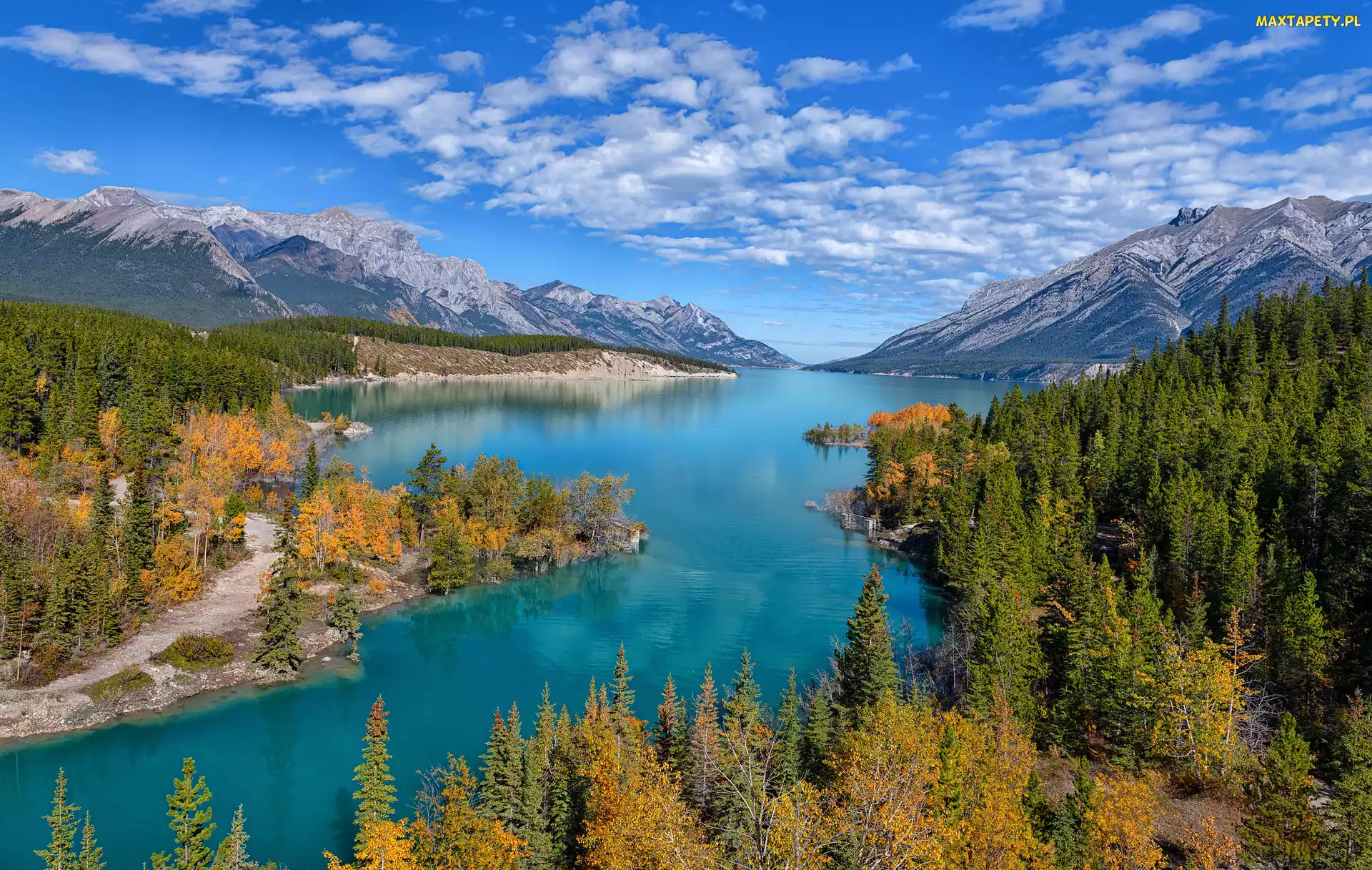 Canadian Rockies, Lasy, Góry Skaliste, Abraham Lake, Alberta, Jezioro, Kanada, Drzewa