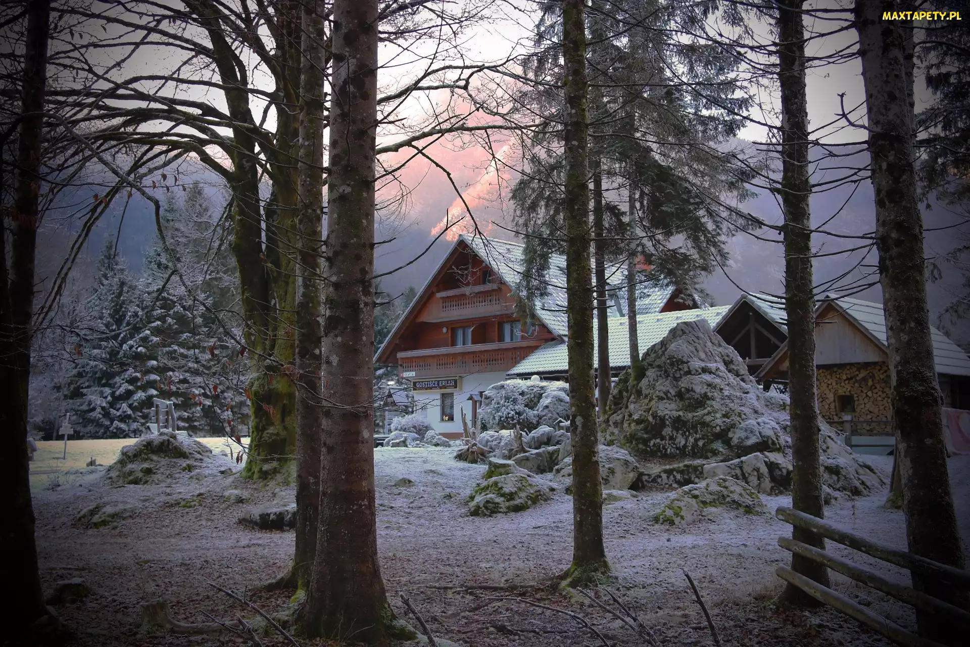 Słowenia, Gostišče Erlah, Zima, Domek gościnny Erlah, Krzewy, Bohinj, Śnieg, Drzewa
