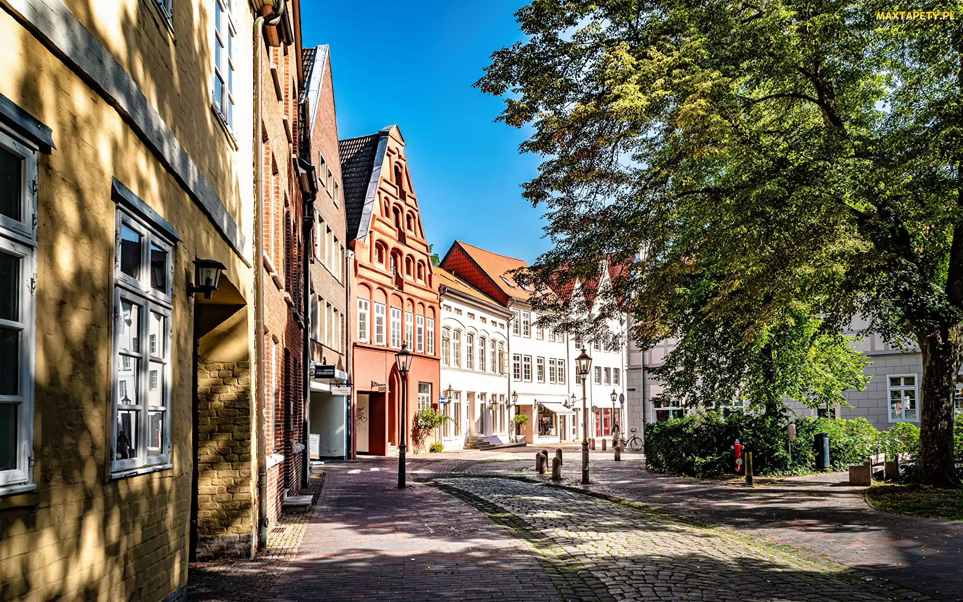 Krzewy, Drzewo, Luneburg, Latarnia, Ulica, Niemcy, Domy