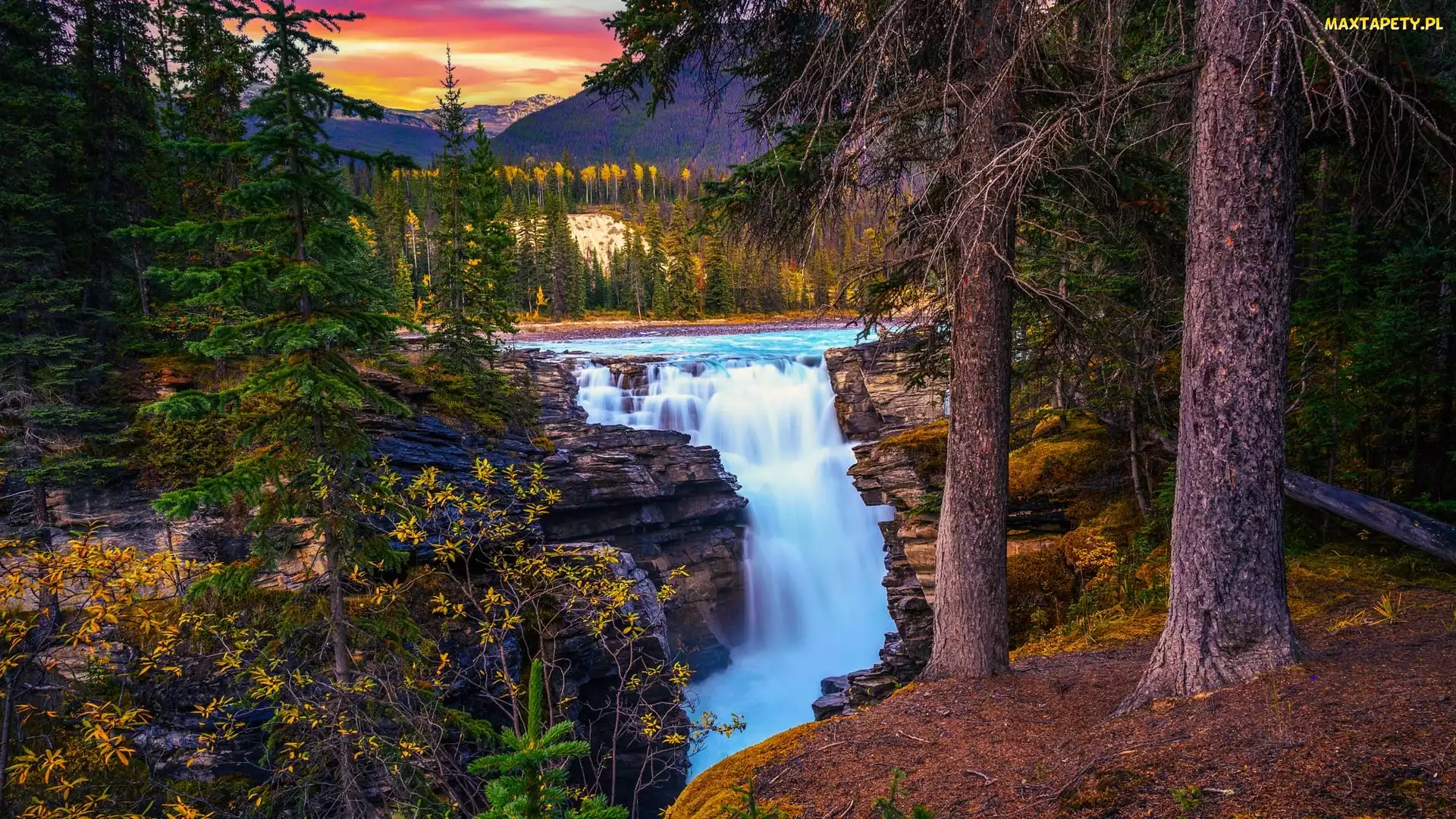Drzewa, Athabasca Waterfall, Alberta, Zachód słońca, Wodospad, Kanada, Park Narodowy Jasper