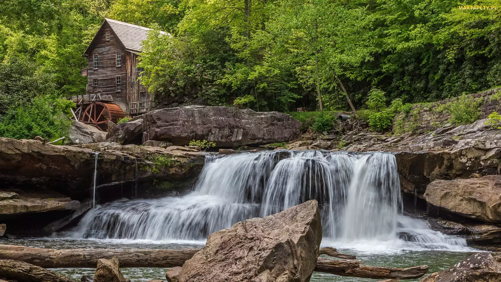 Rzeka, Glade Creek Grist Mill, Las, Młyn wodny, Wirginia Zachodnia, Skały, Stany Zjednoczone, Park Babcock State