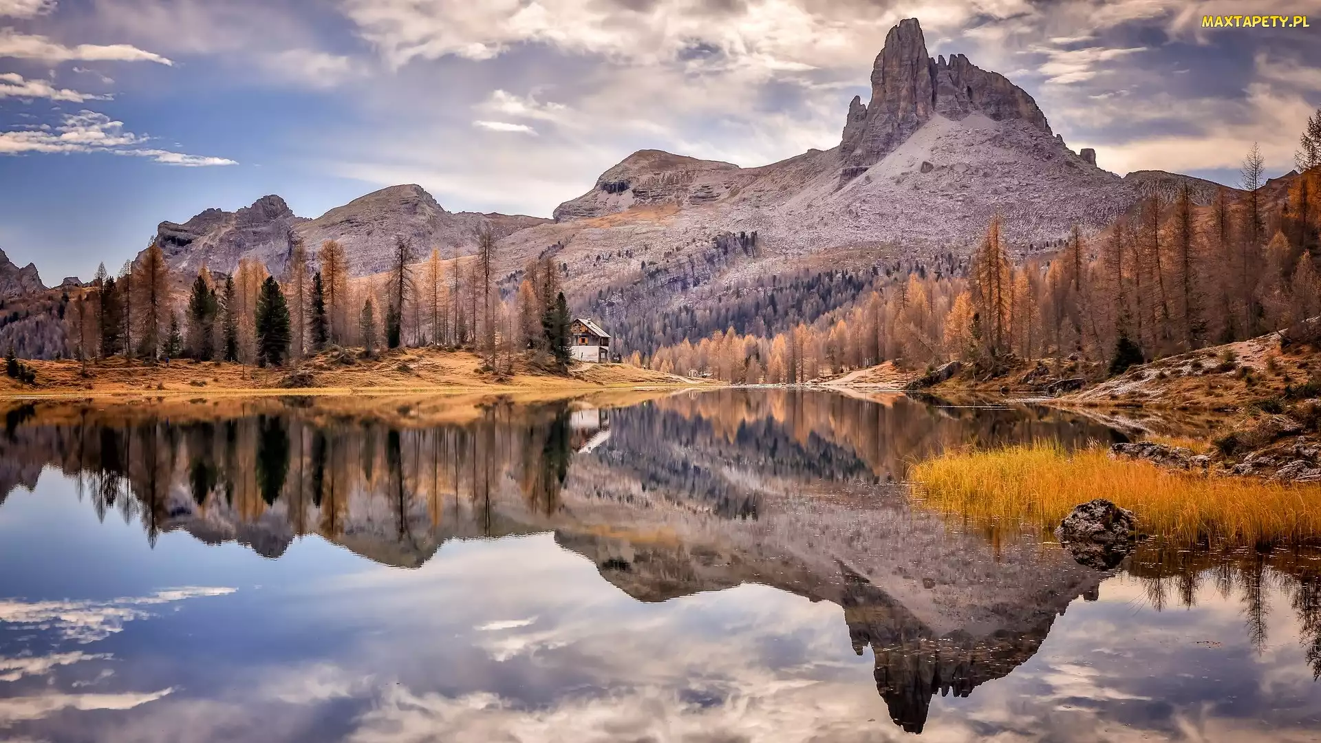 Jesień, Odbicie, Żółta, Włochy, Trawa, Lago Federa, Góry, Dolomity, Jezioro