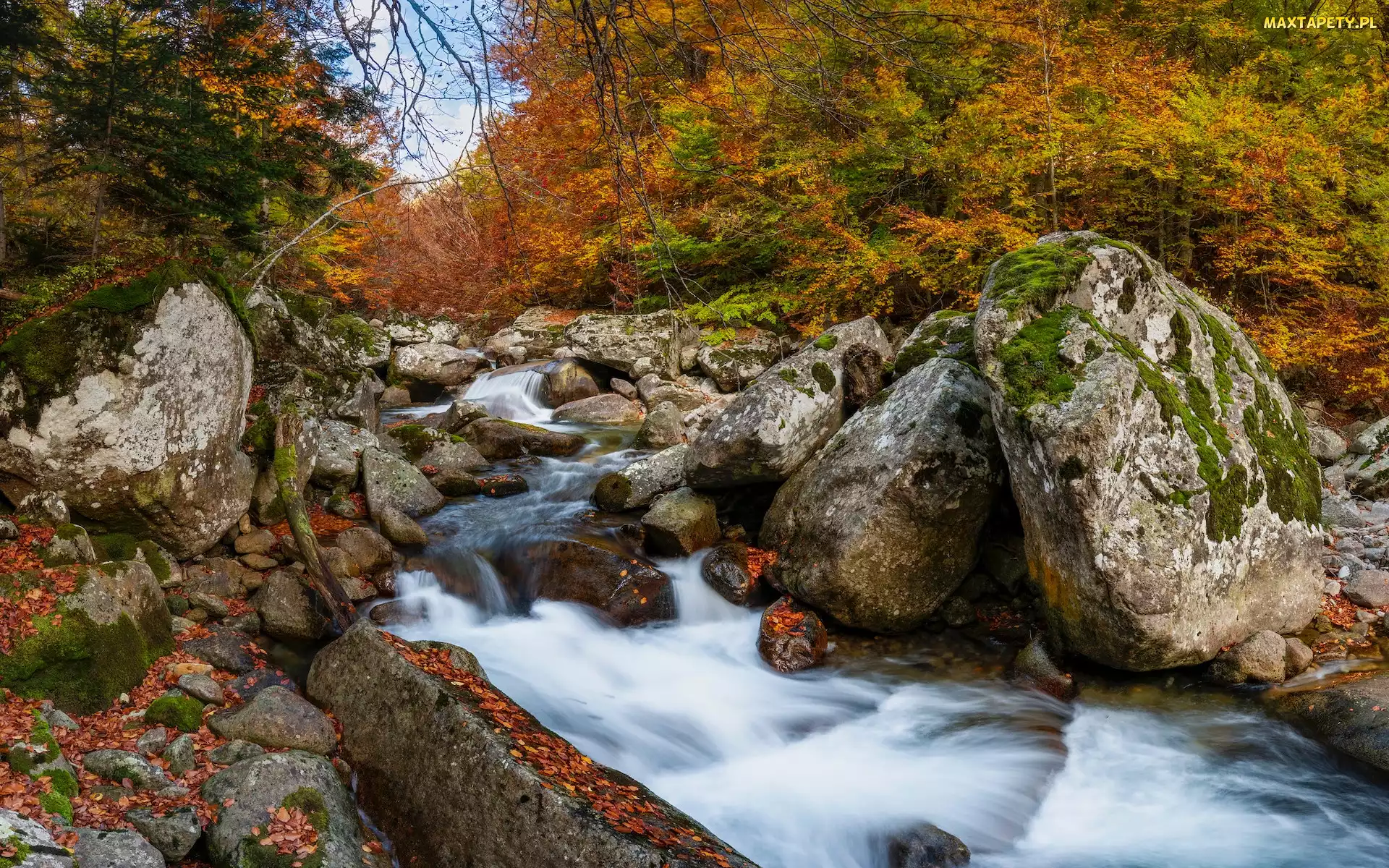 Jesień, Kamienie, Rio Ara, Skały, Rezerwat przyrody, Aragonia, Posets Maladeta, Drzewa, Hiszpania, Rzeka