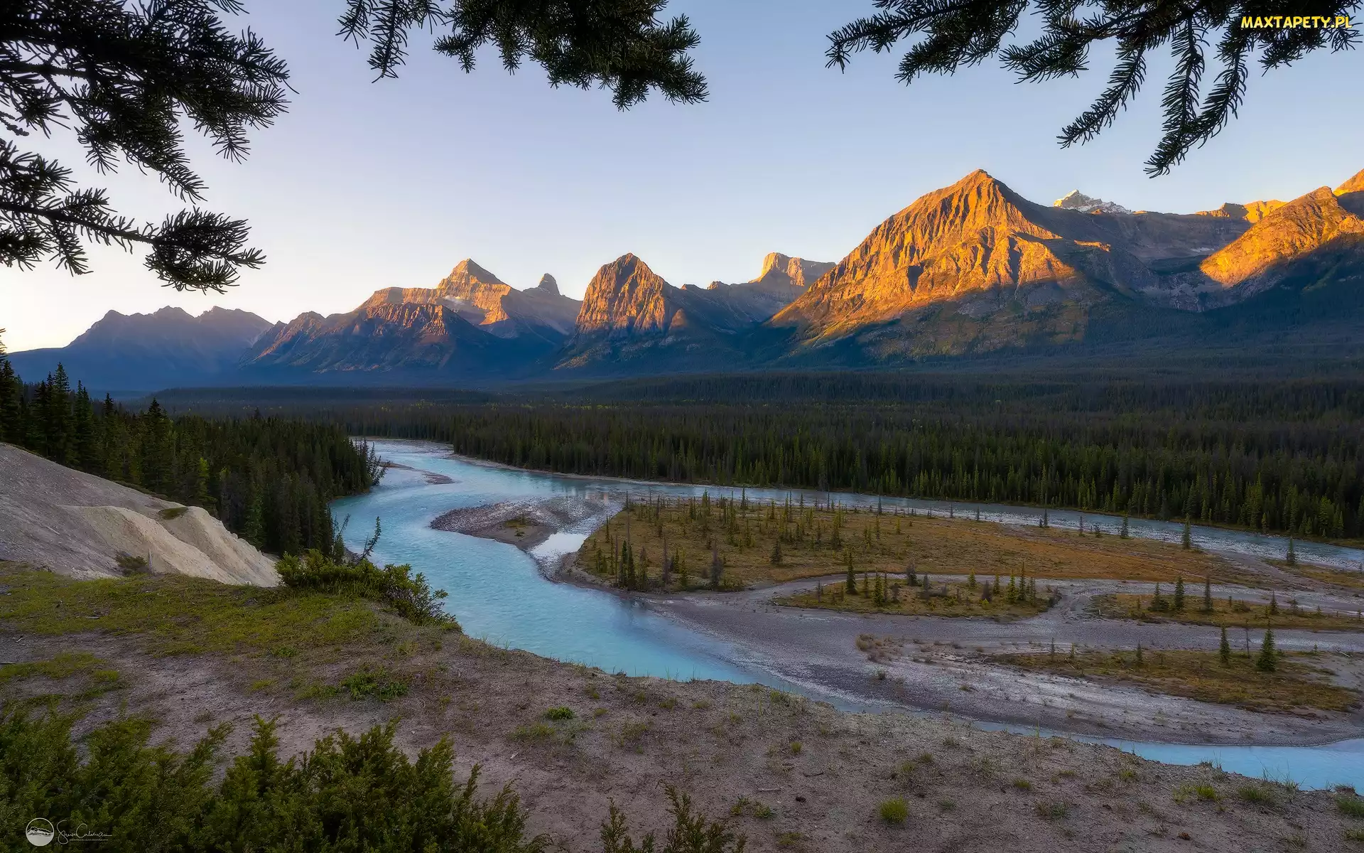Alberta, Canadian Rockies, Kanada, Góry, Las, Park Narodowy Jasper, Drzewa, Rzeka