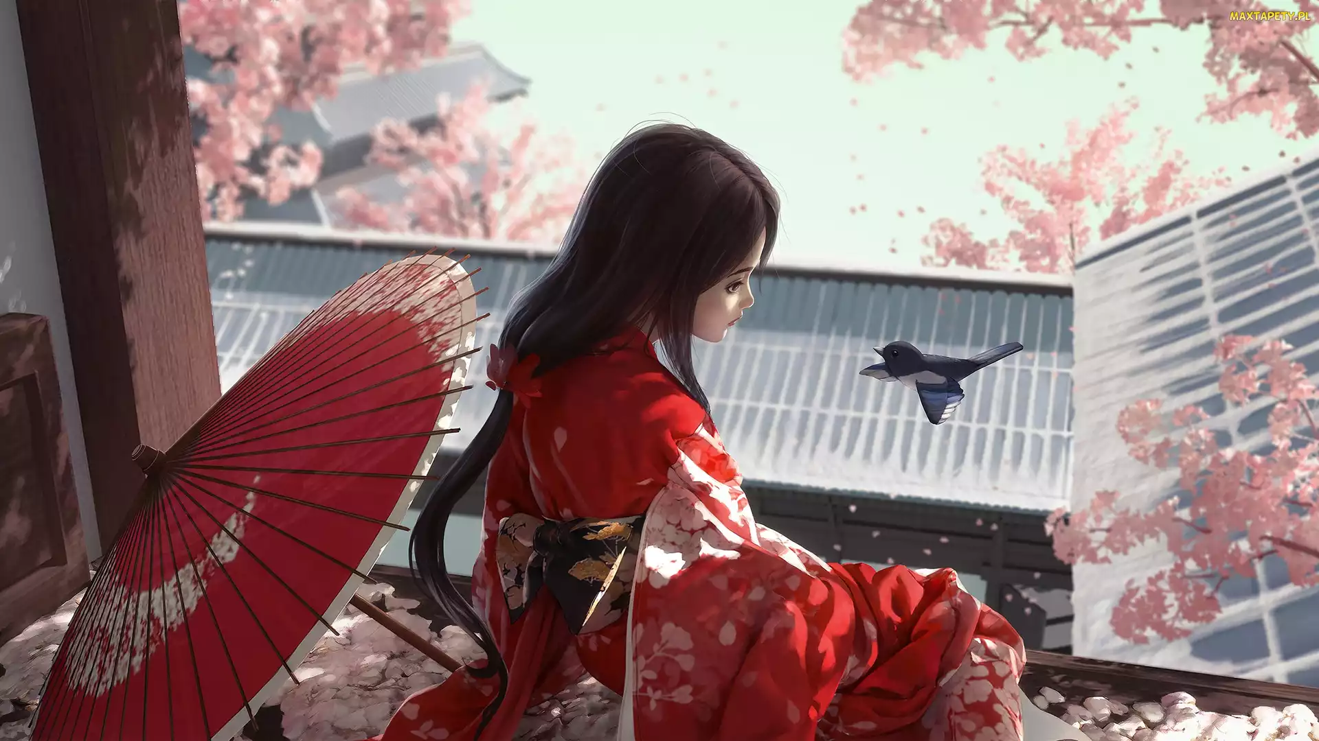 Parasolka, Kimono, Kobieta, Ptaszek, Smutna, Grafika, Azjatka