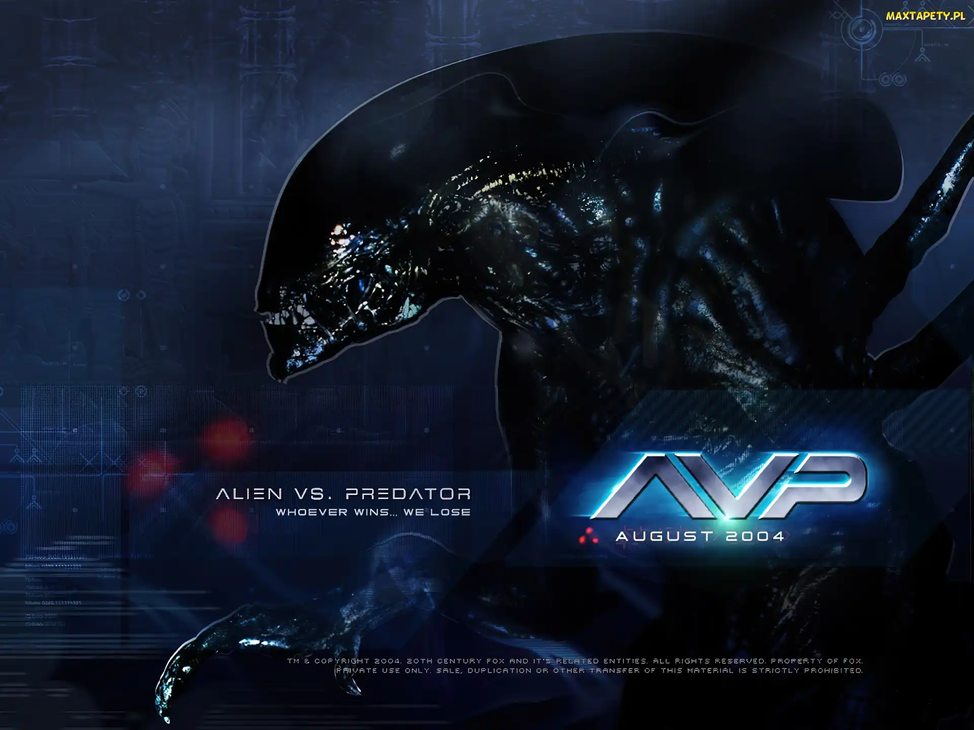 czarny, stwór, Alien Vs Predator 1