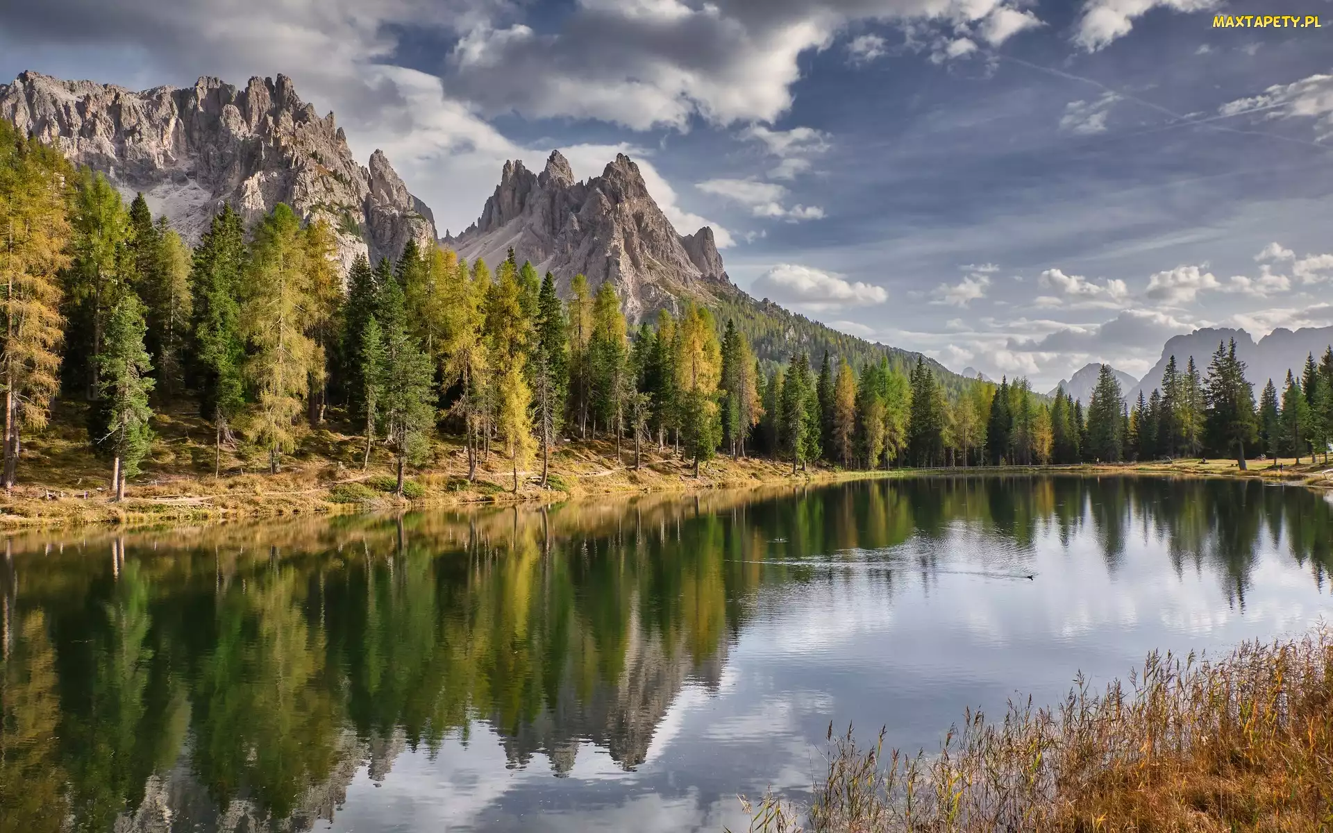 Dolomity, Jezioro, Góry, Drzewa, Chmury, Las, Włochy, Antorno Lake