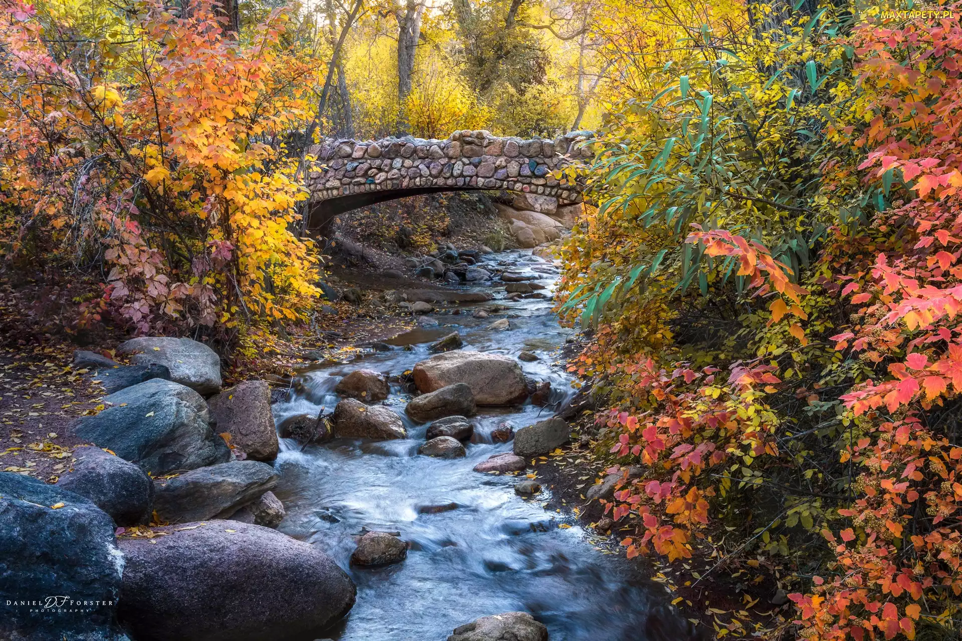 Drzewa, Krzewy, Jesień, Most, Colorado Springs, Stany Zjednoczone, Potok, Kolorado, Kolorowe, North Cheyenne Creek, Kamienie