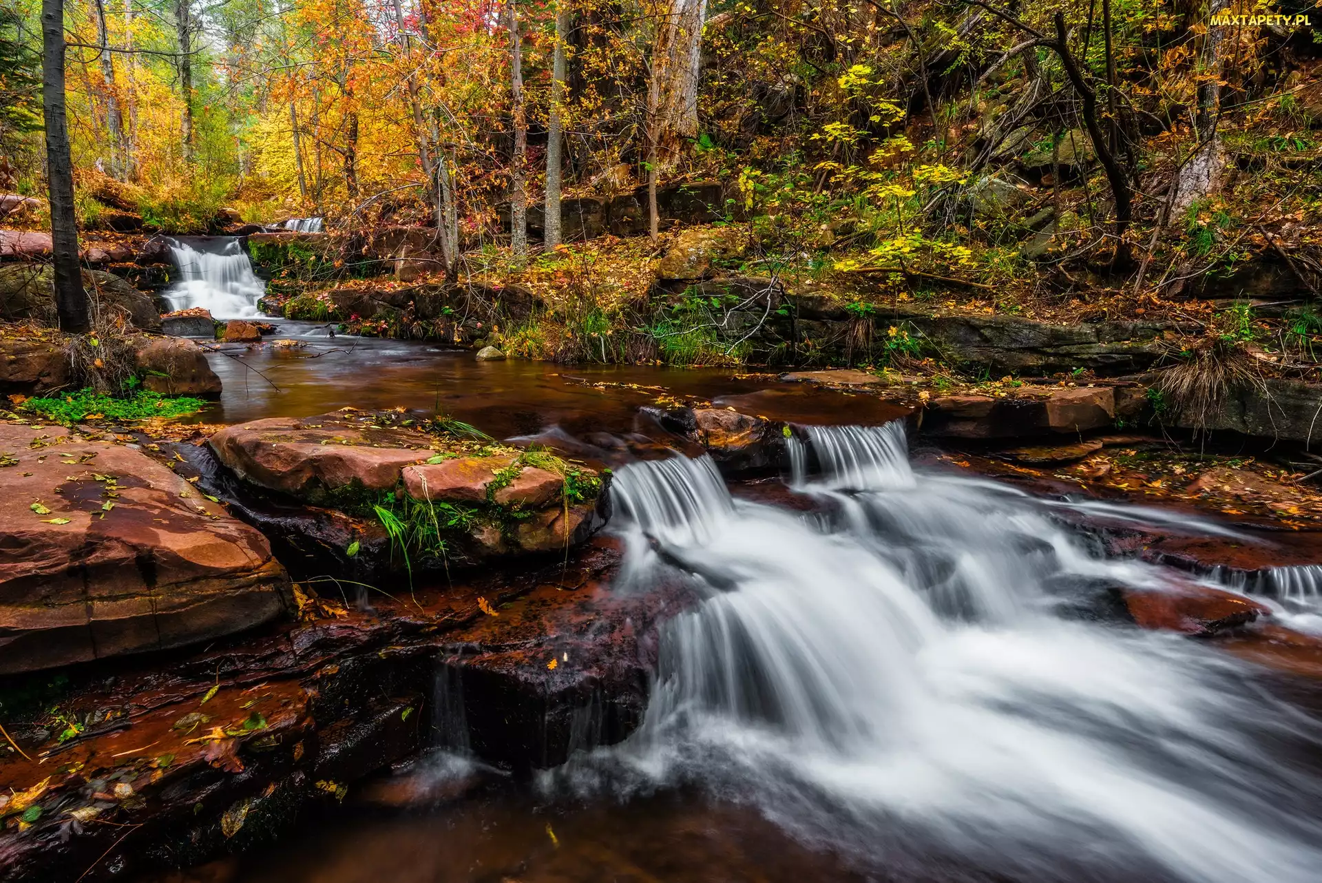 Horton Creek, Stan Arizona, Stany Zjednoczone, Rzeka, Kaskada, Opadłe, Skały, Kamienie, Las, Drzewa, Liście, Jesień