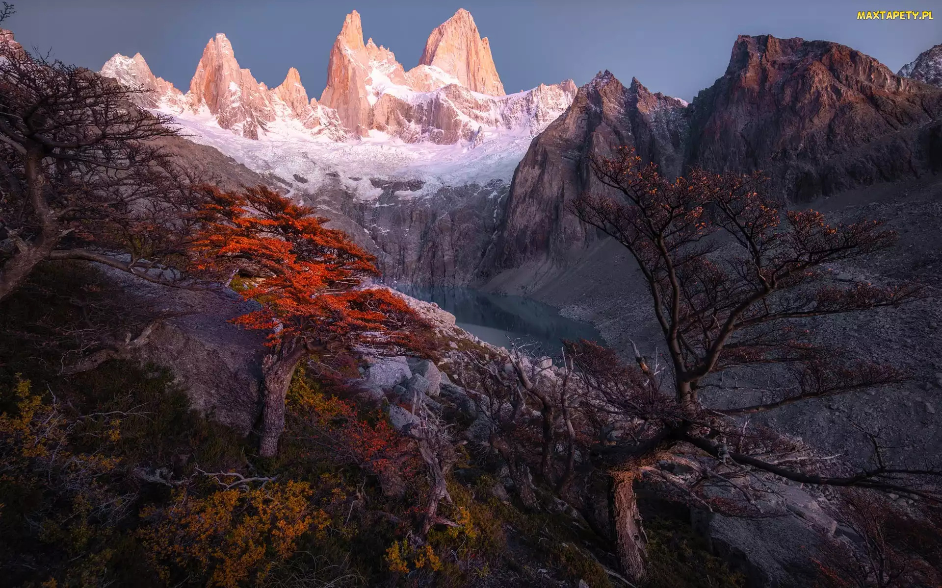 Jezioro, Szczyt Fitz Roy, Patagonia, Drzewa, Góry, Argentyna, Ośnieżone