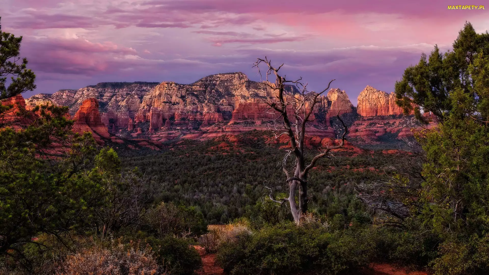 Skały, Wilson Mountains, Arizona, Drzewa, Góry, Stany Zjednoczone, Sedona